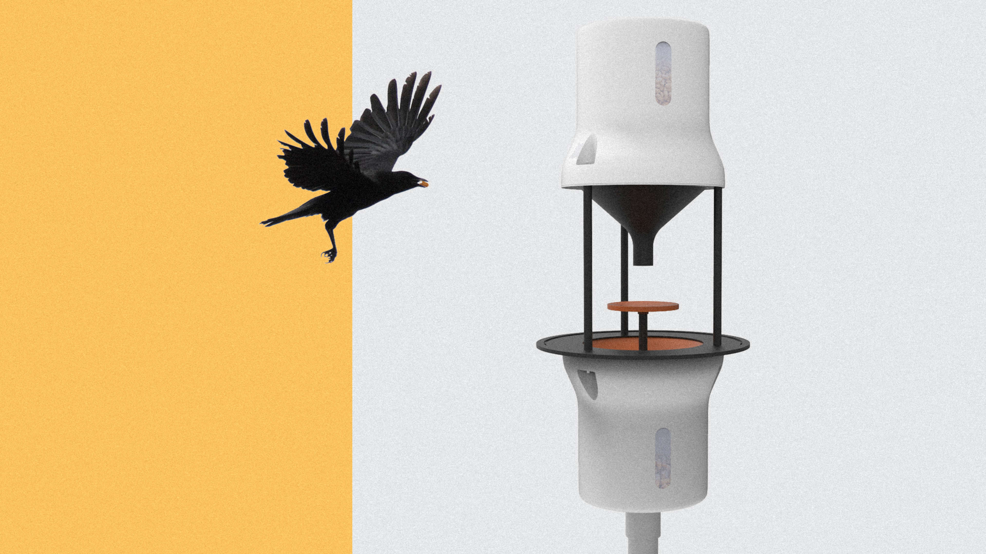 Here’s A (Crazy?) Plan To Bribe Crows To Clean Up Cigarette Butts