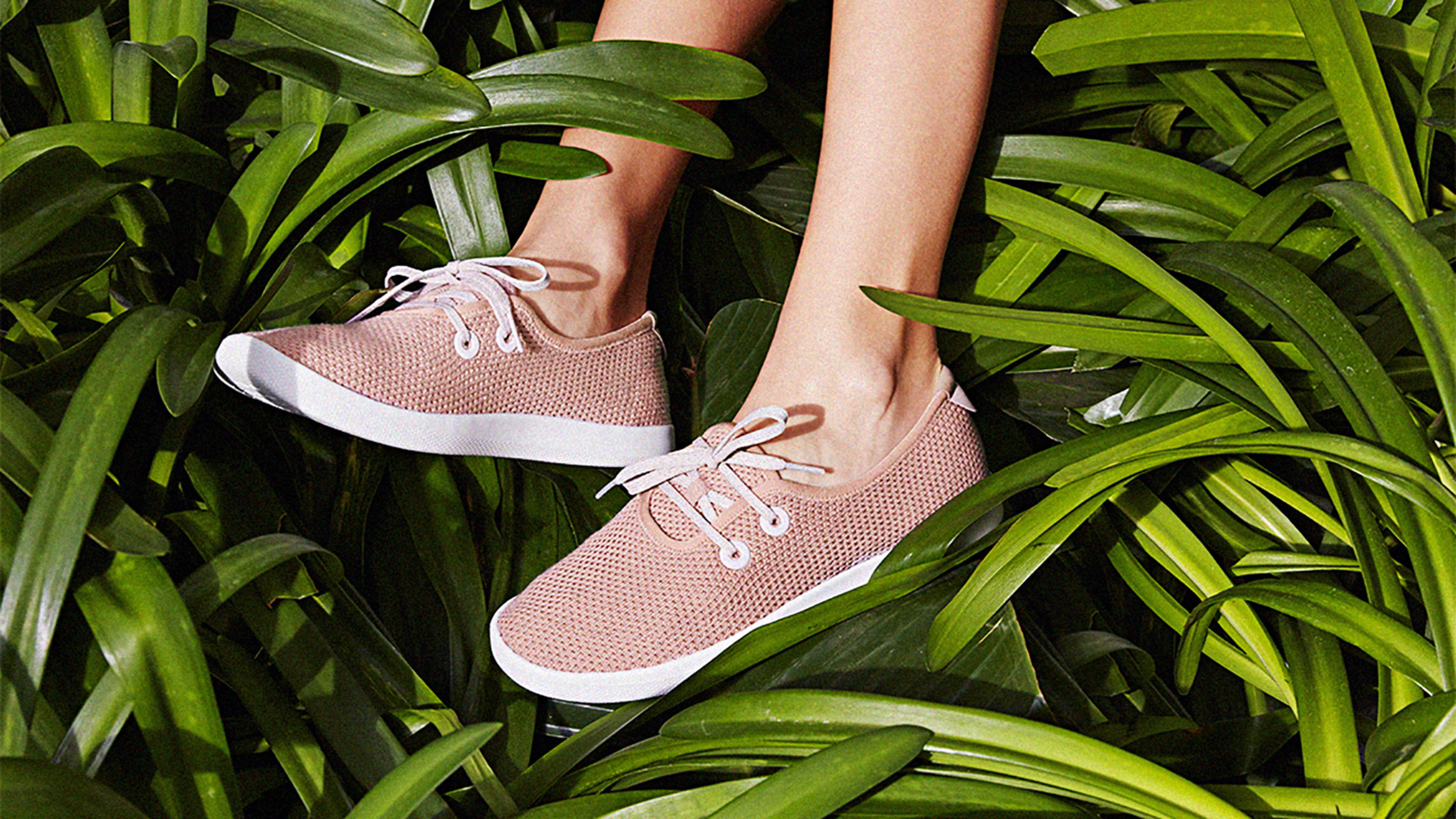 Allbirds Just Invented Summertime Sneakers That Are Actually Made Out Of Trees