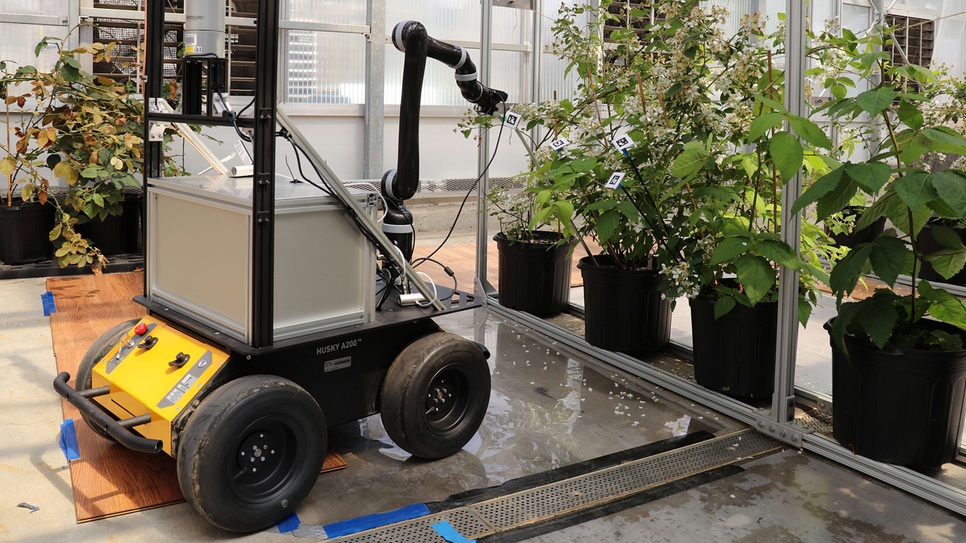 This robot could help pollinate crops if we kill all the bees
