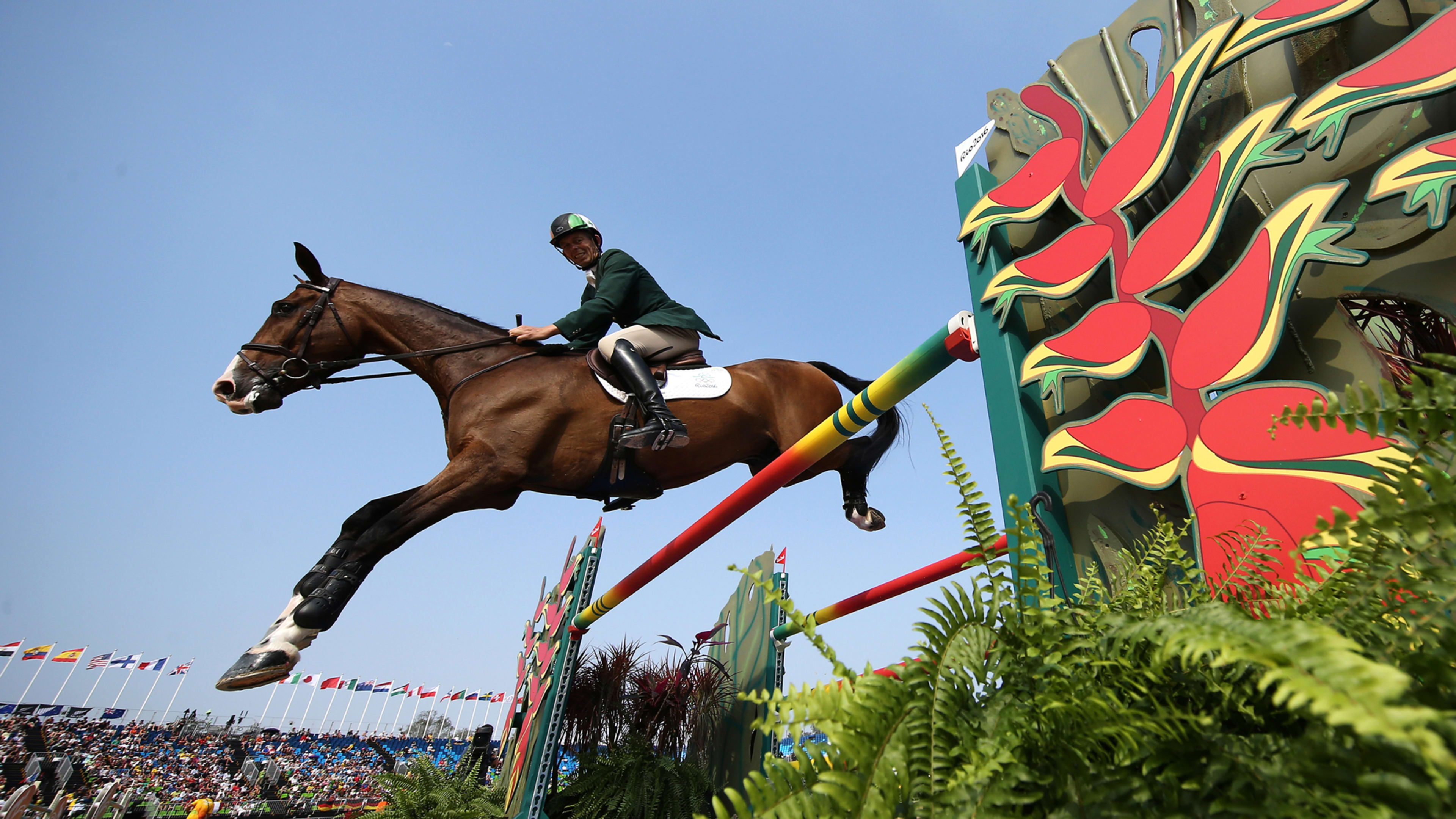 Can Crowdsourcing Make Horse Sports More Accessible?