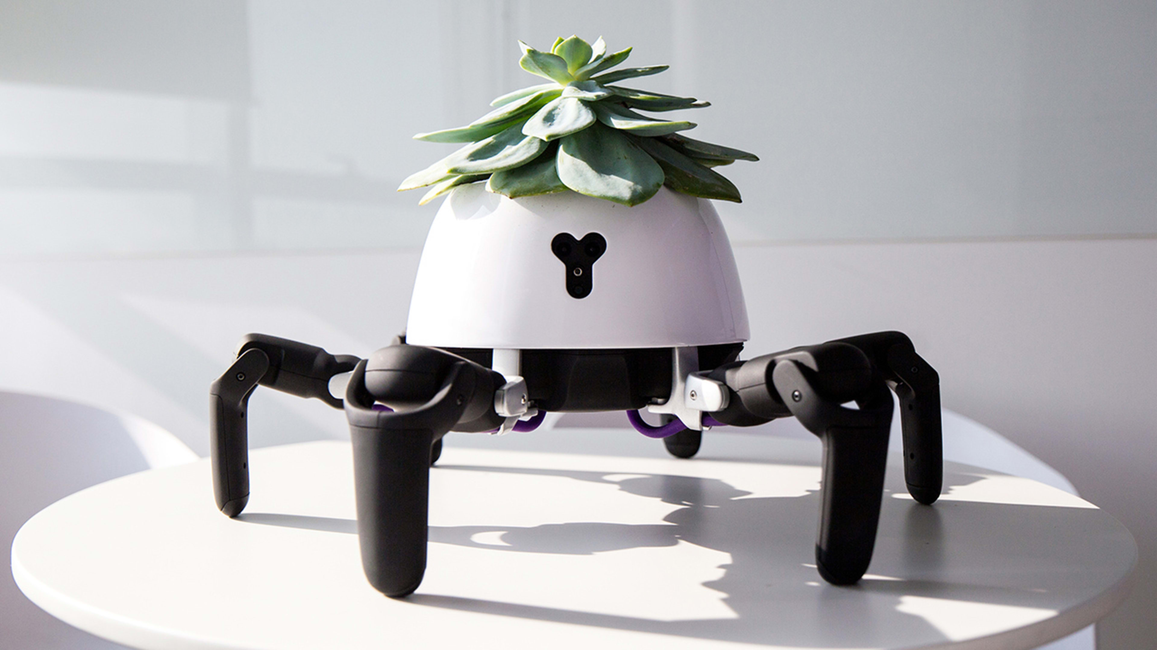 This sun-chasing robo-plant is wildly impractical, and wonderful
