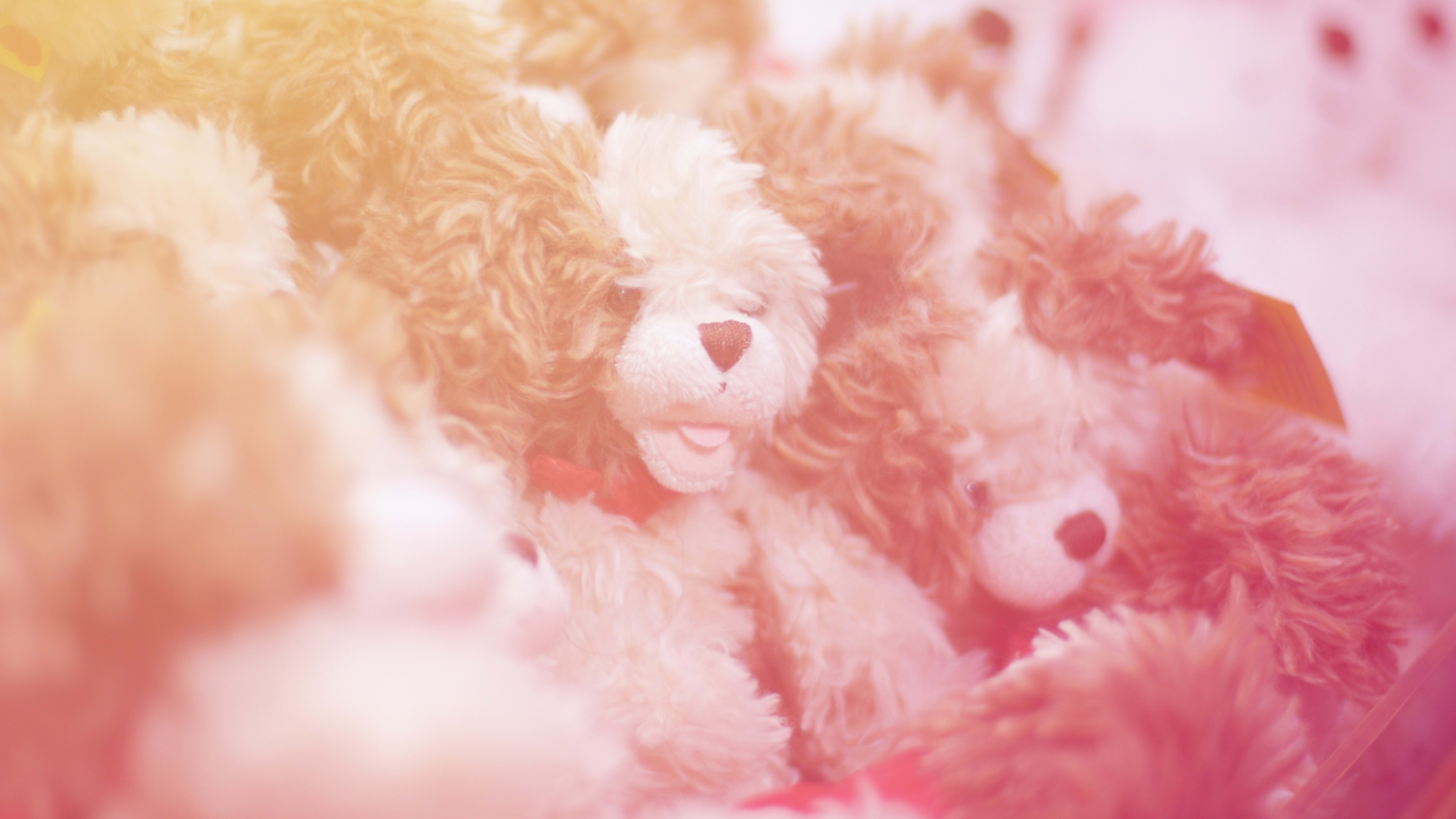 Build-A-Bear gave fans exactly what they wanted, and it backfired spectacularly