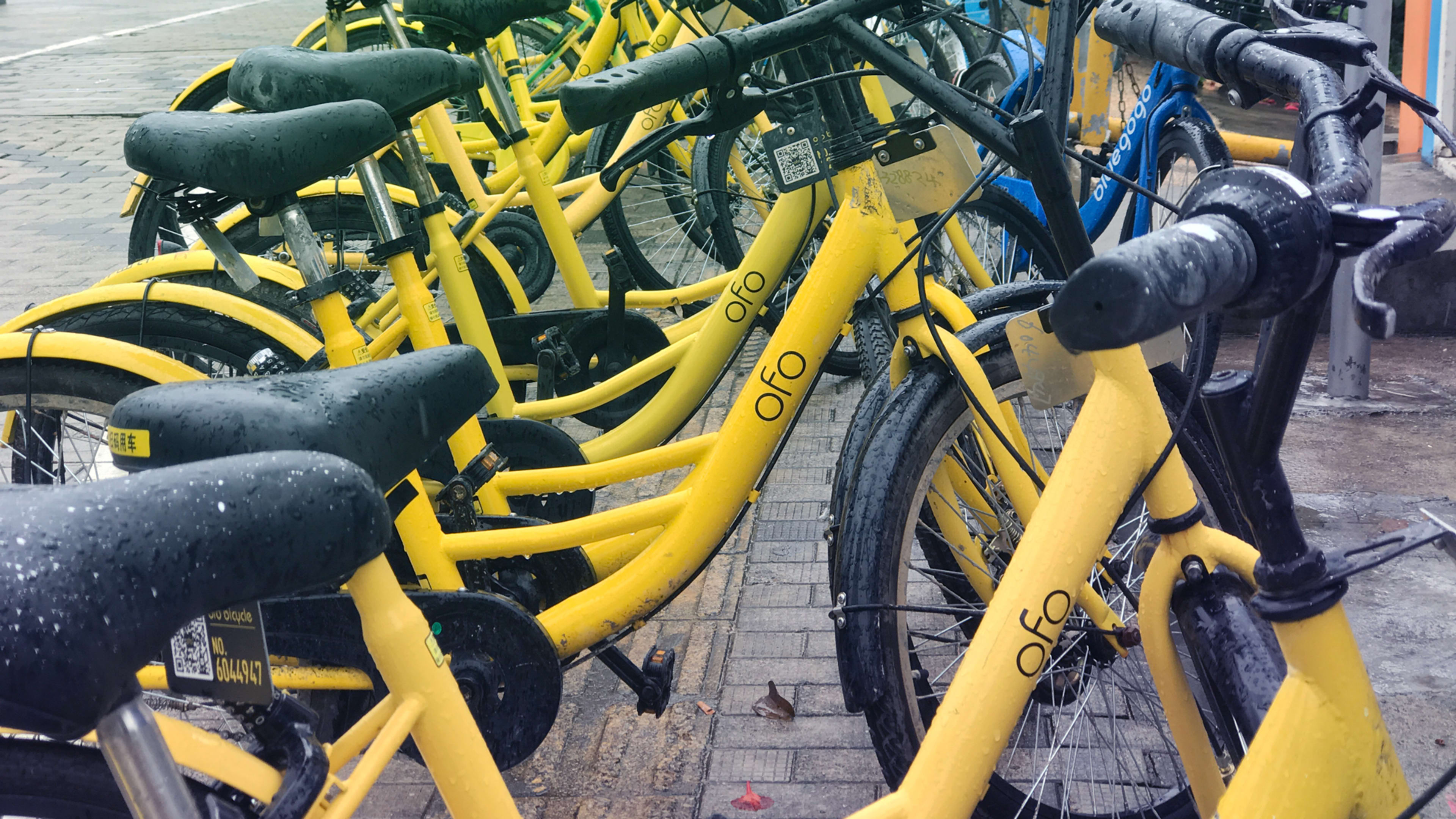 Chinese bikeshare company Ofo is laying off most of its U.S. staff