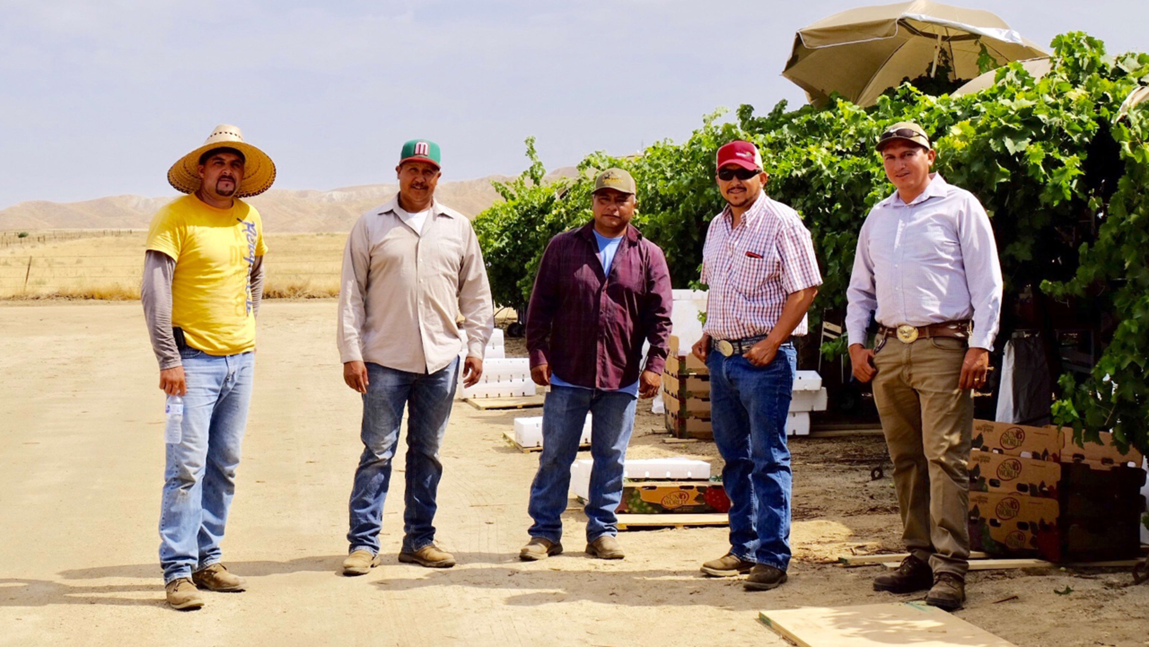 How a small worker-owned trust could transform agricultural labor for decades