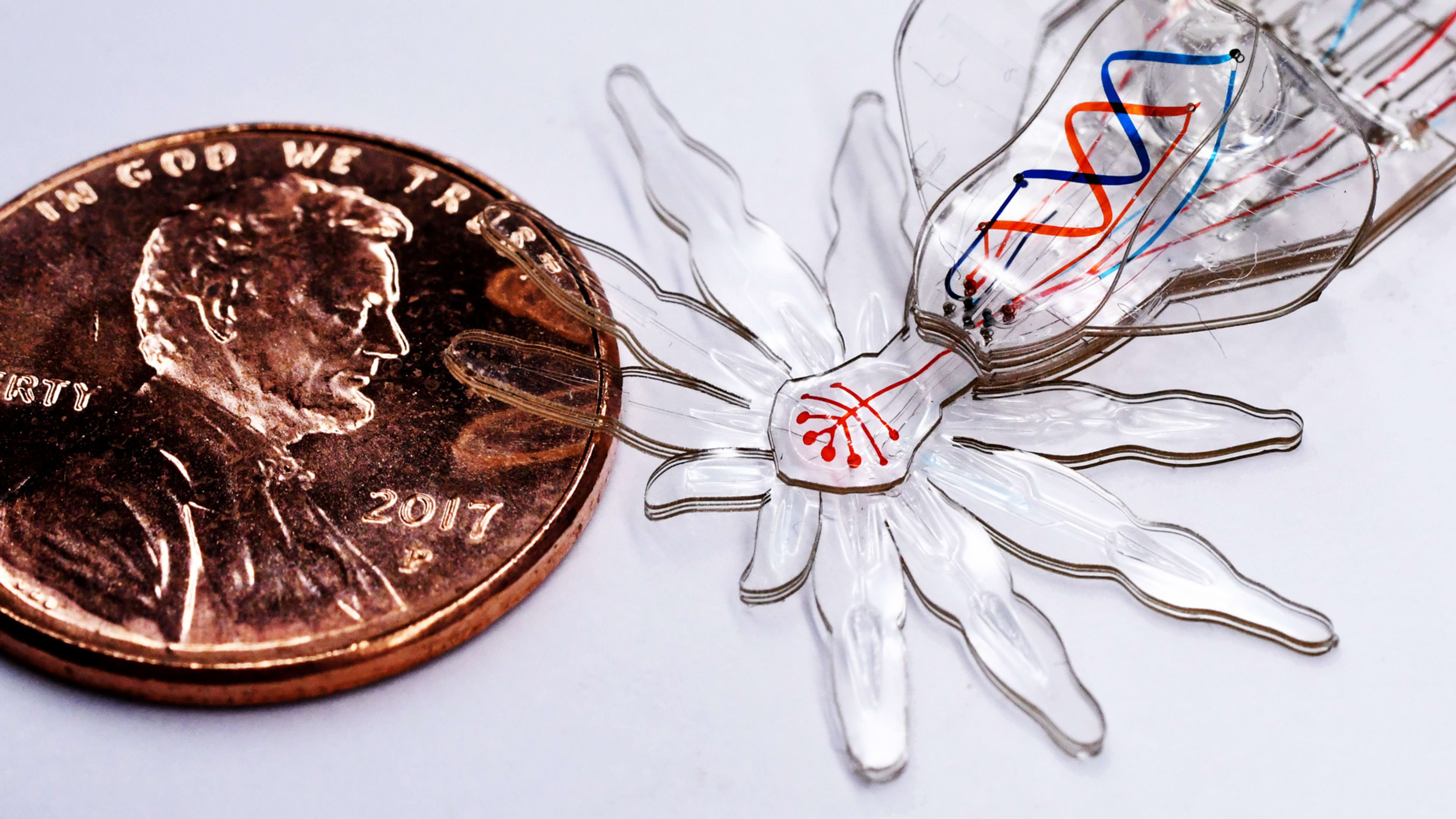 Someday this tiny spider bot could perform surgery inside your body