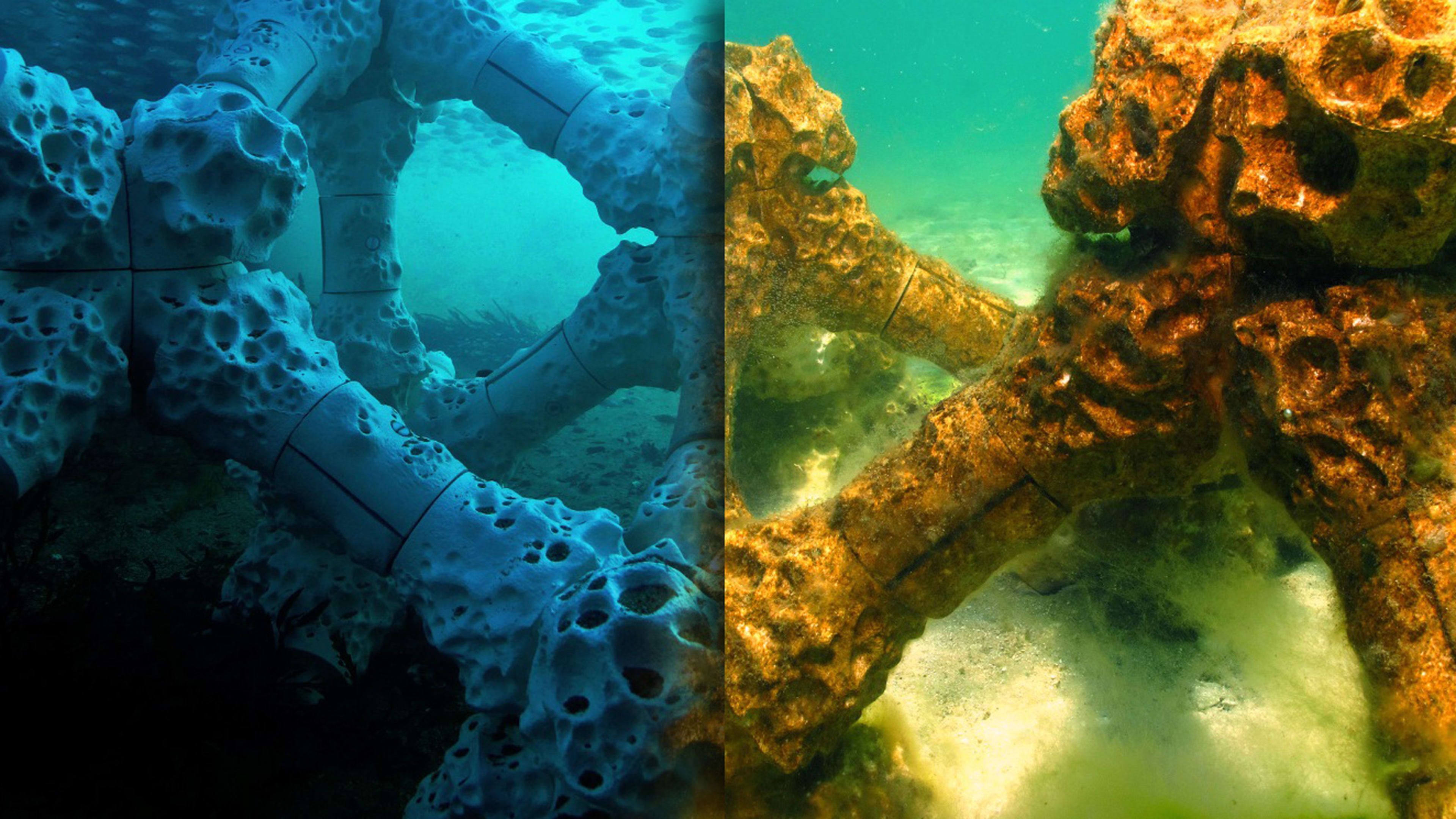 Our reefs are dying–what if we 3D print new ones?