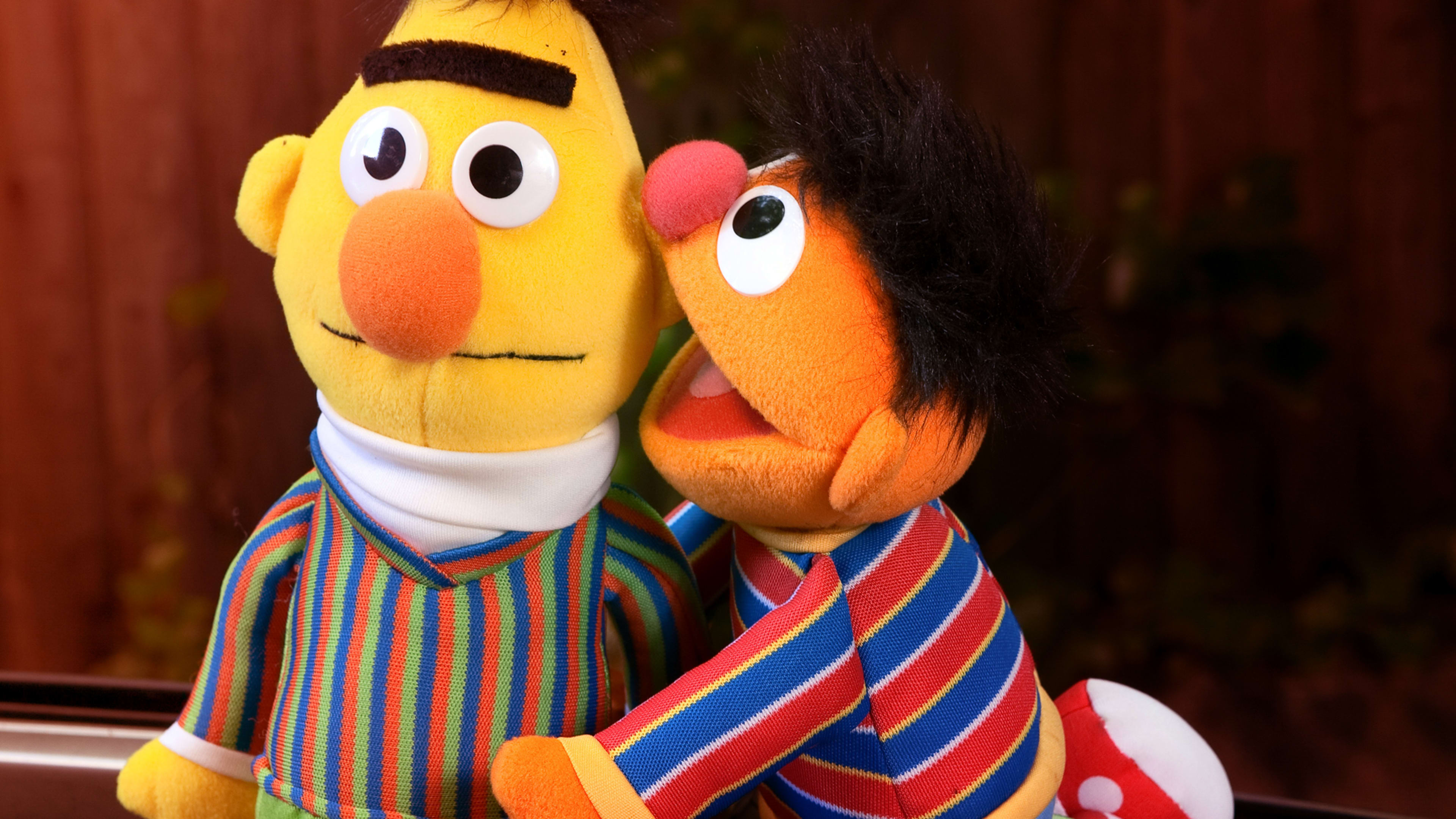 Sesame Street writer confirms Bert and Ernie were a couple