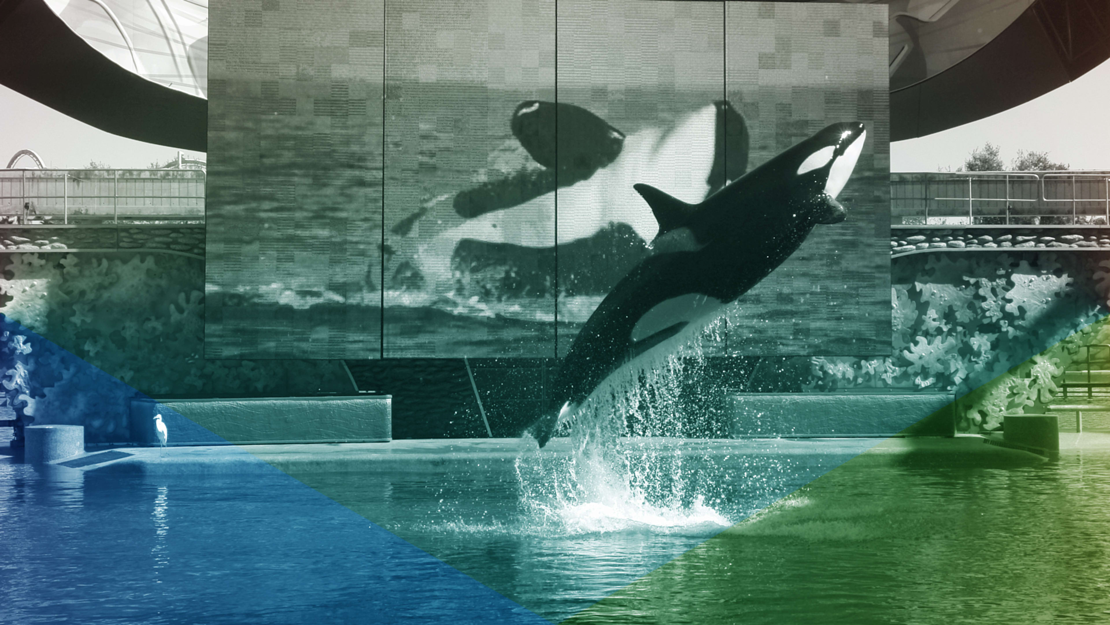 SeaWorld and its former CEO are still paying dearly for “Blackfish”