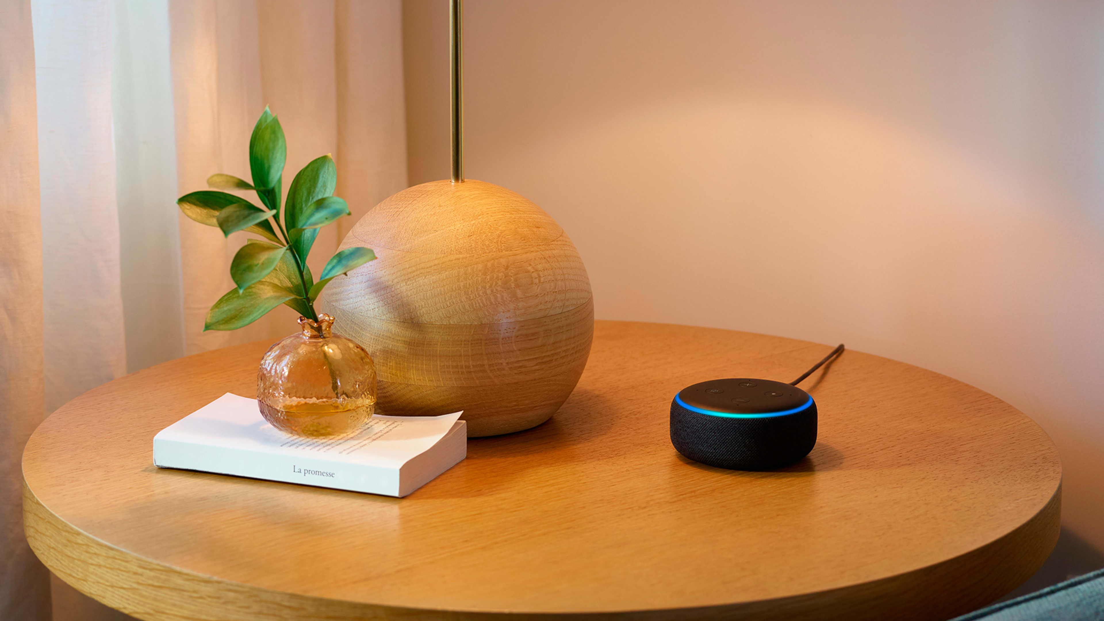 Sirius XM and Amazon are teaming up to promote Echo devices