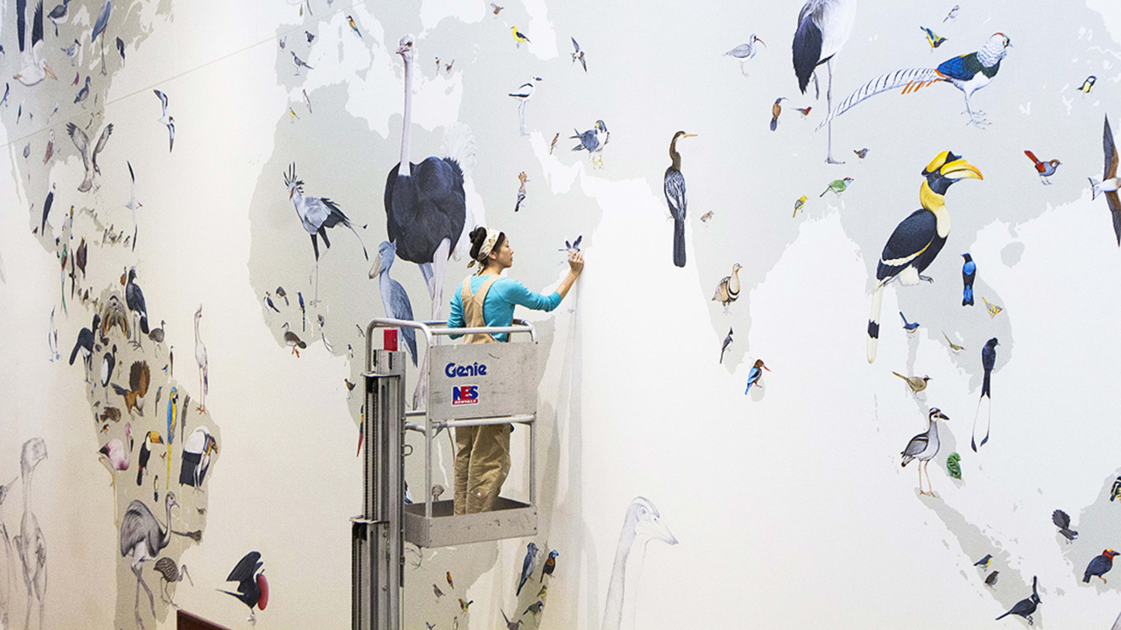Cornell has an epic new bird mural and a richly detailed book to go with it