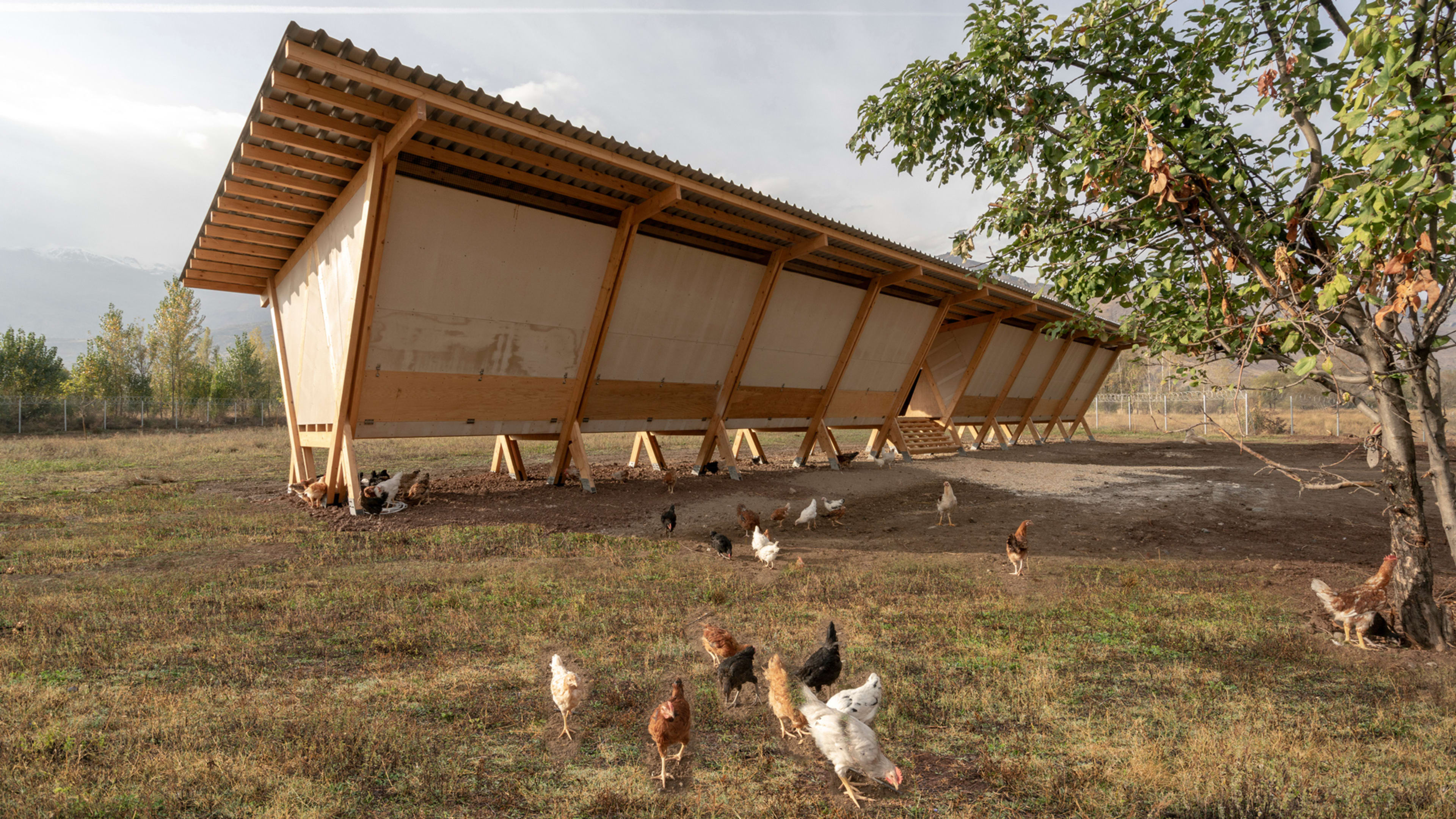 This $20,000 chicken coop is more beautiful than your house