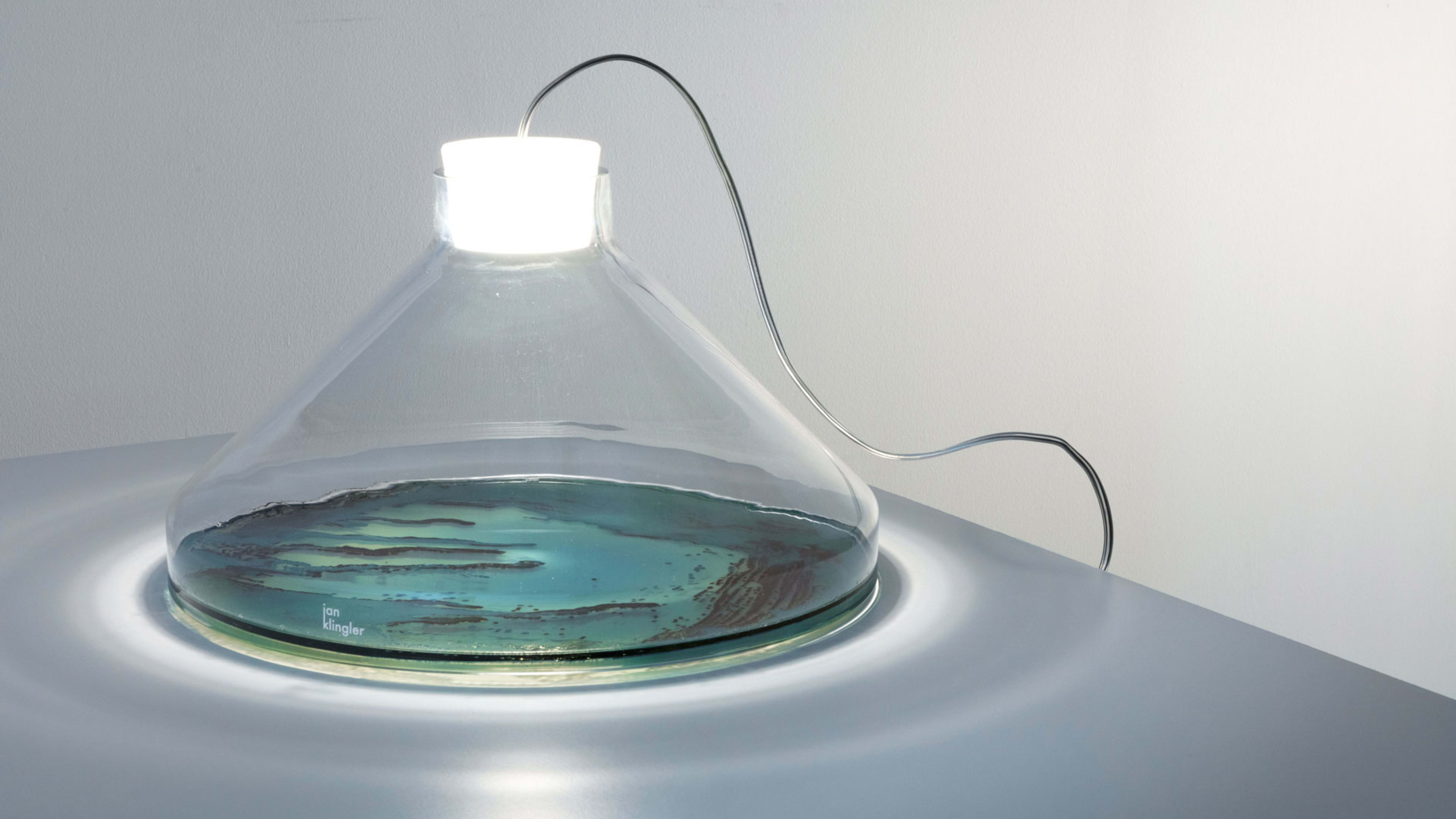 These lamps preserve the bacteria of your favorite people, pets, and places