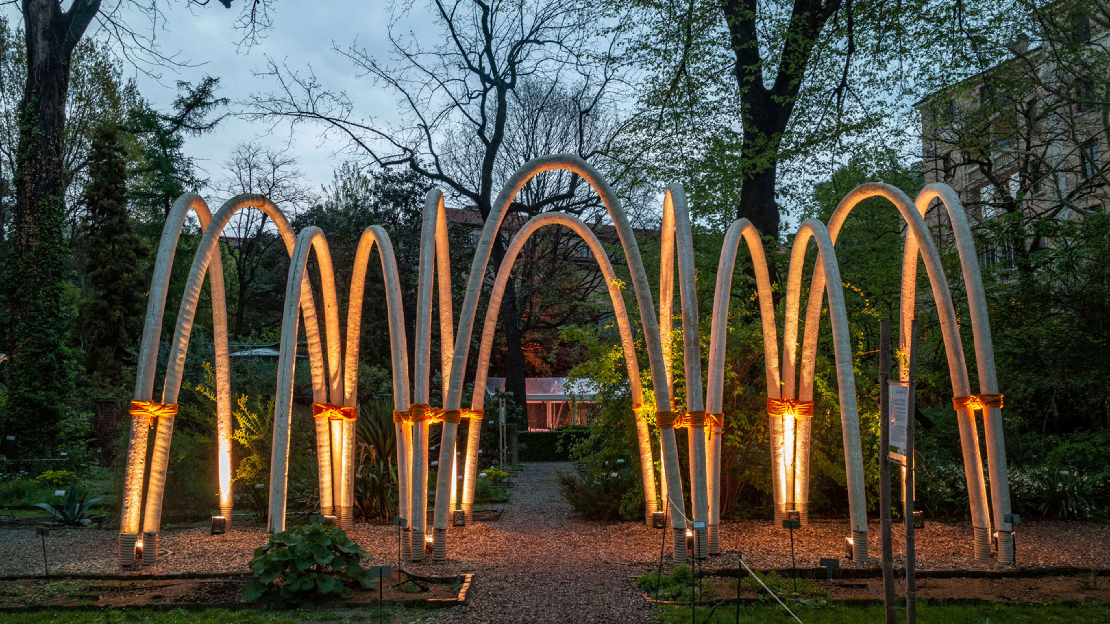 See the first architectural arches grown in a lab