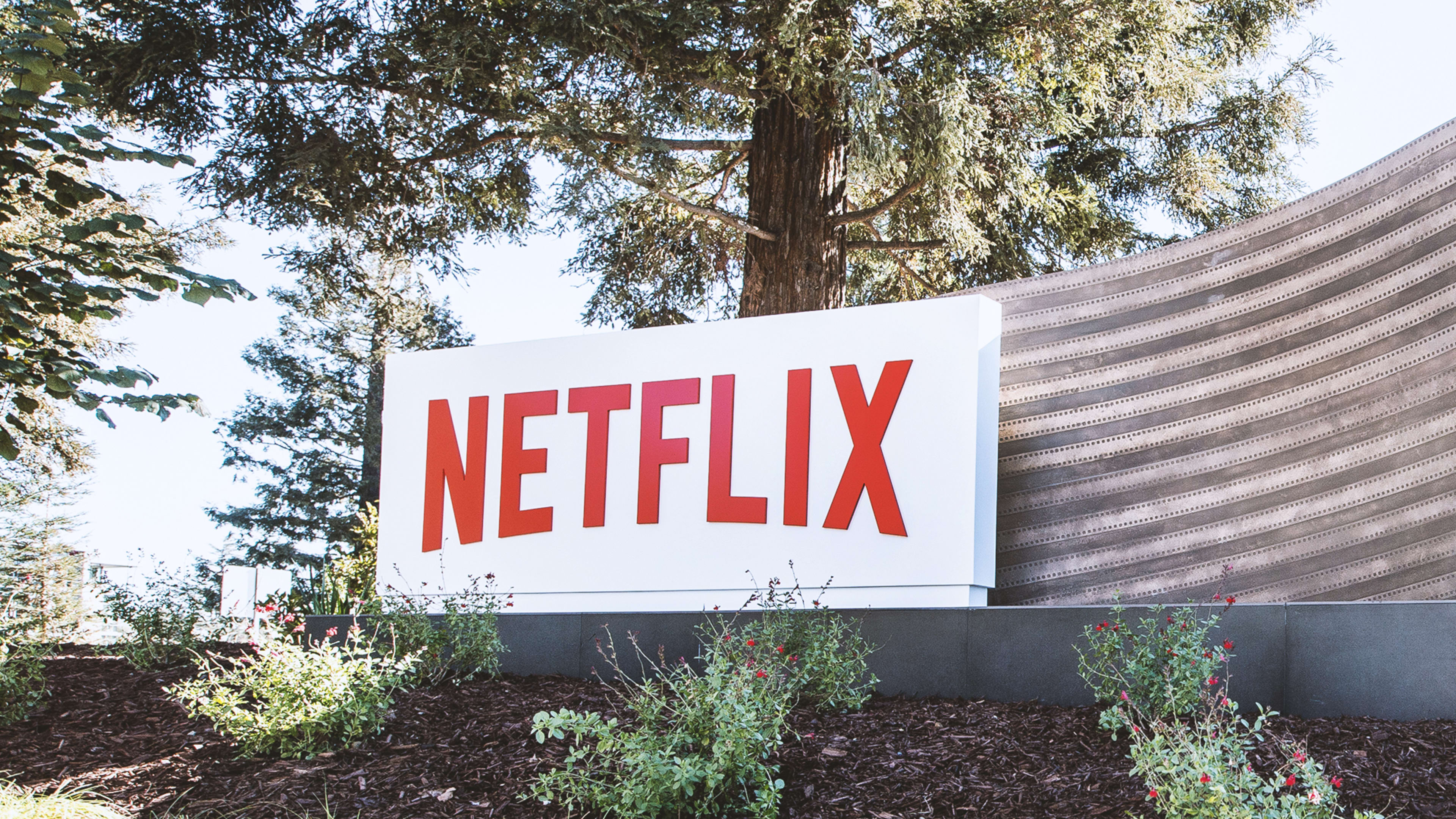 After earnings report, Netflix stock fell despite overall beat