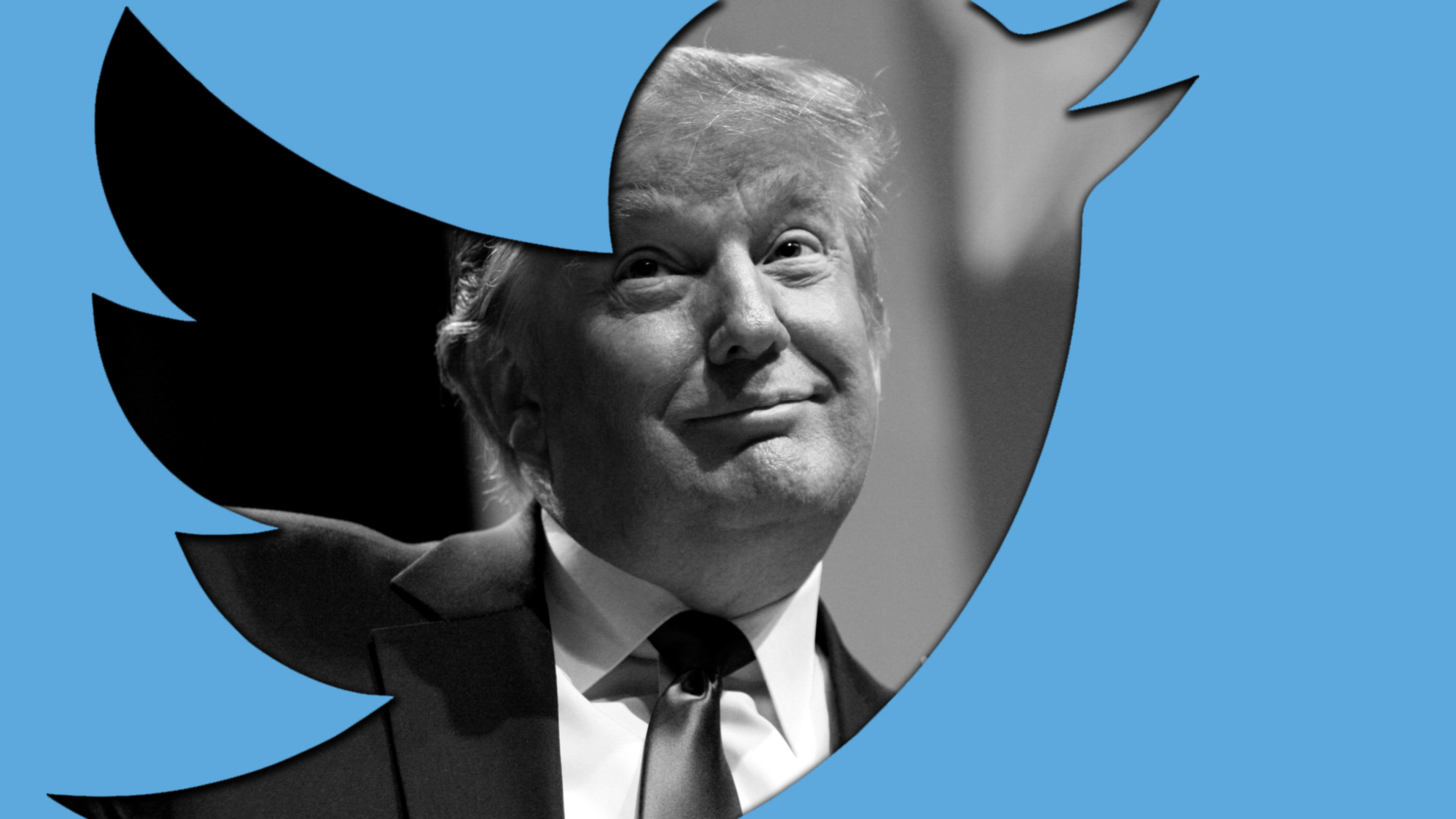 Twitter offers the perfect answers to Trump’s “What do I know about branding?”