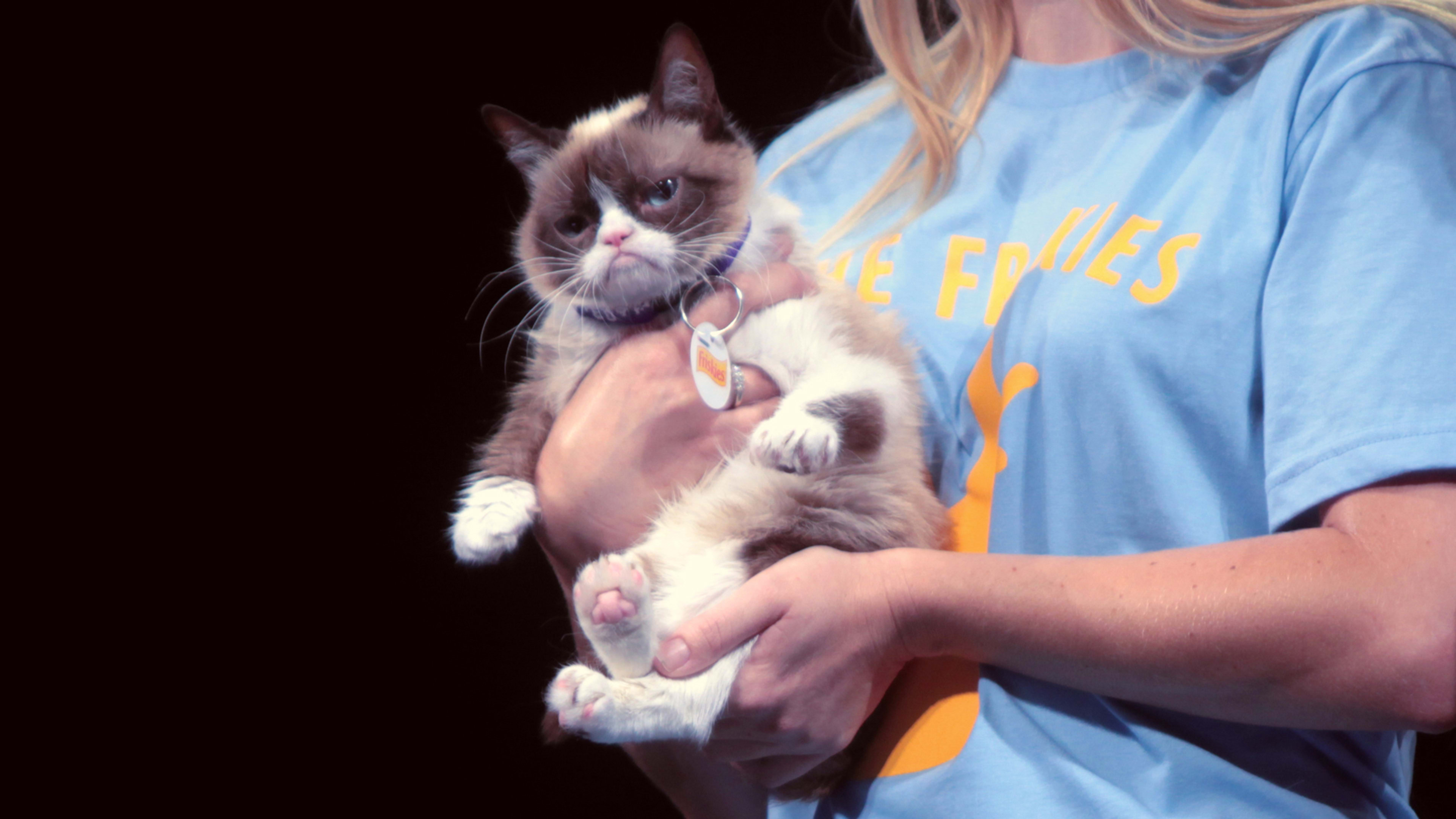 Now this is something to be grumpy about: Meme superstar Grumpy Cat has died