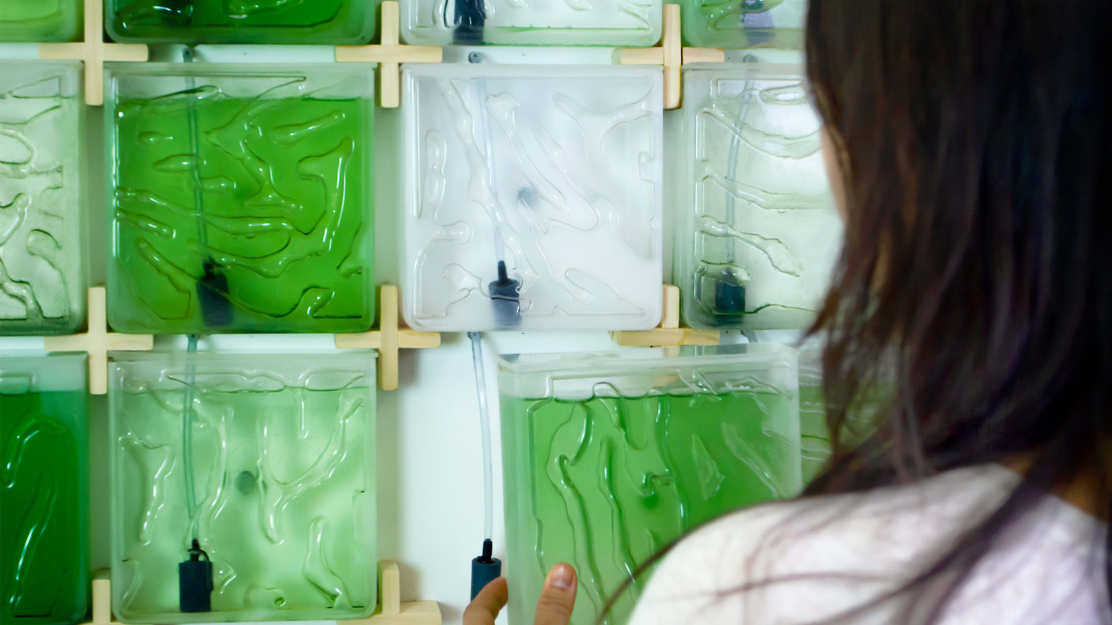 This kit makes it shockingly easy (and pretty) to farm your own algae at home