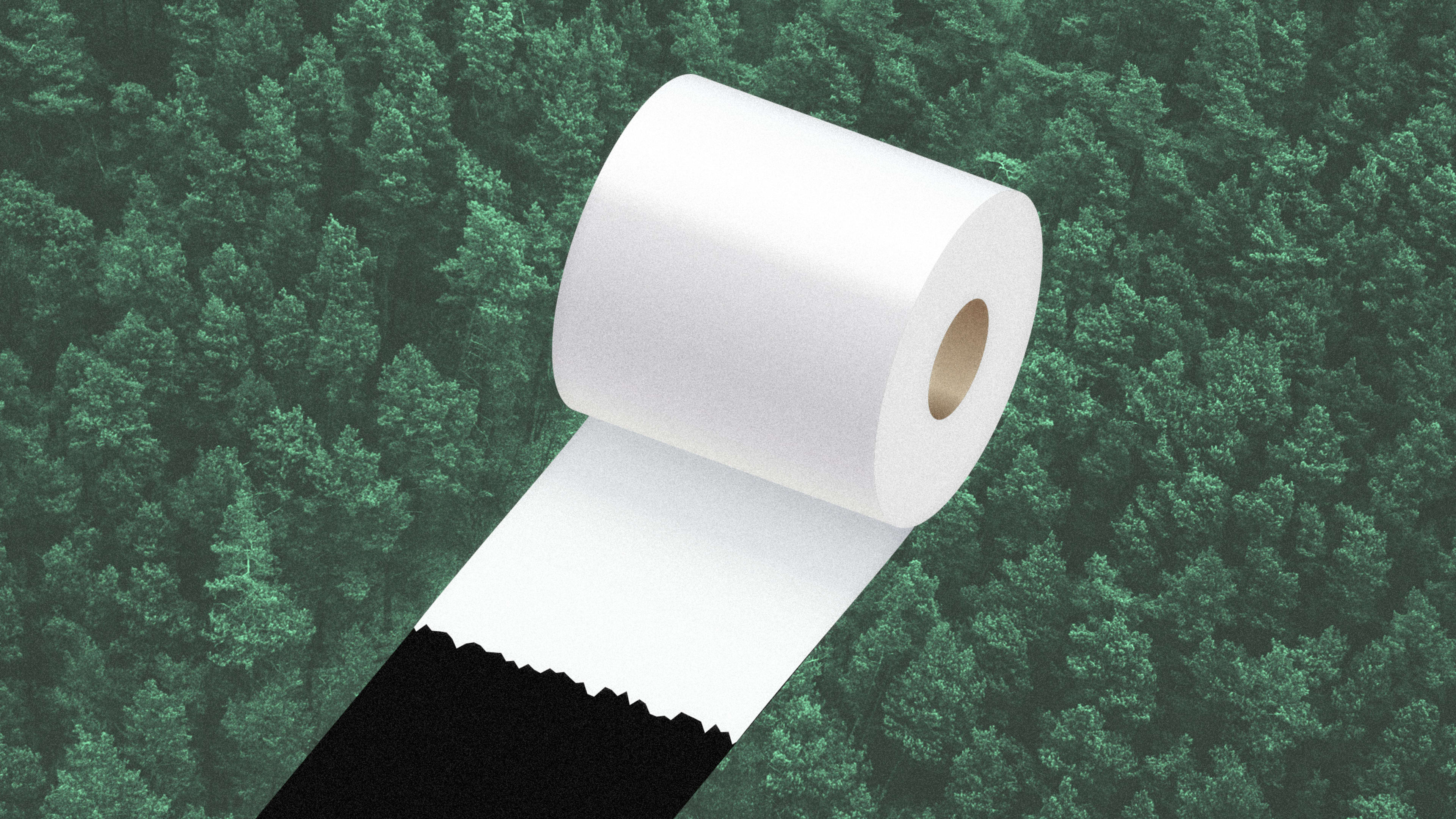 There’s an overlooked product that you definitely use that’s destroying vital forests