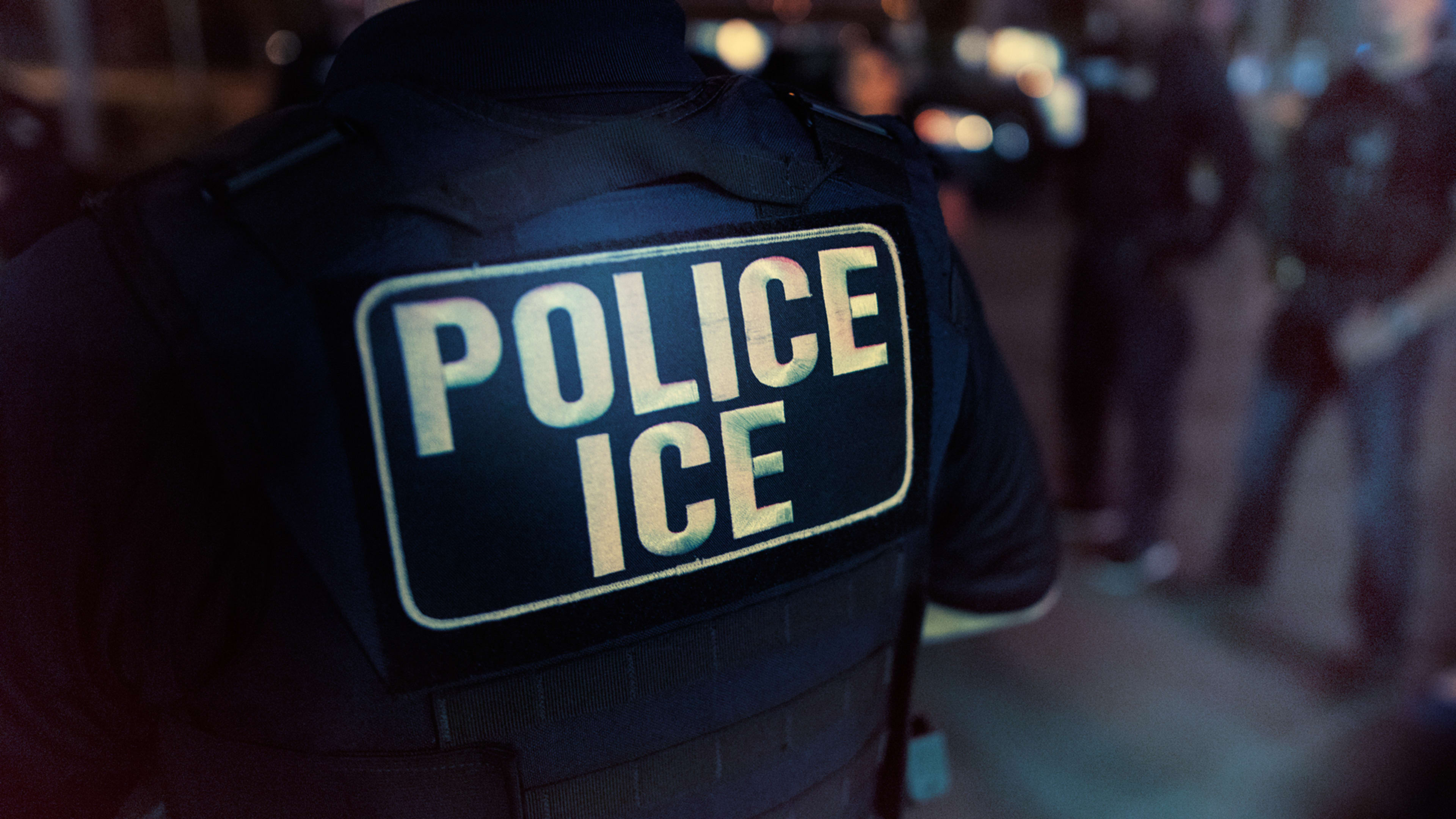 Emails show that ICE uses Palantir technology to detain undocumented immigrants: WNYC report
