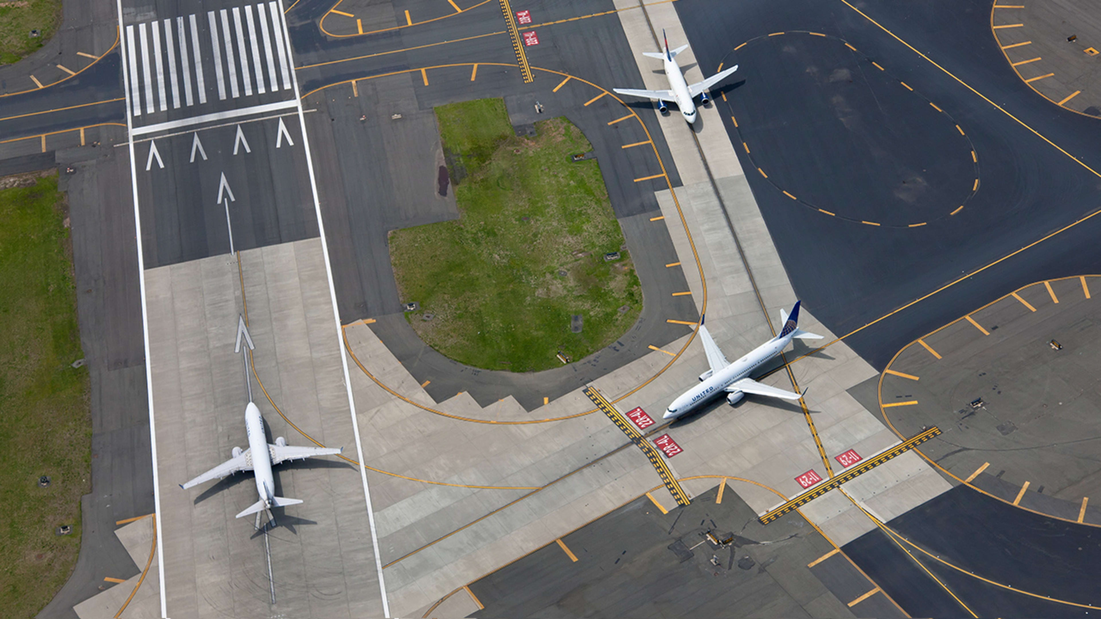 The fascinating thing our airports reveal about the natural world