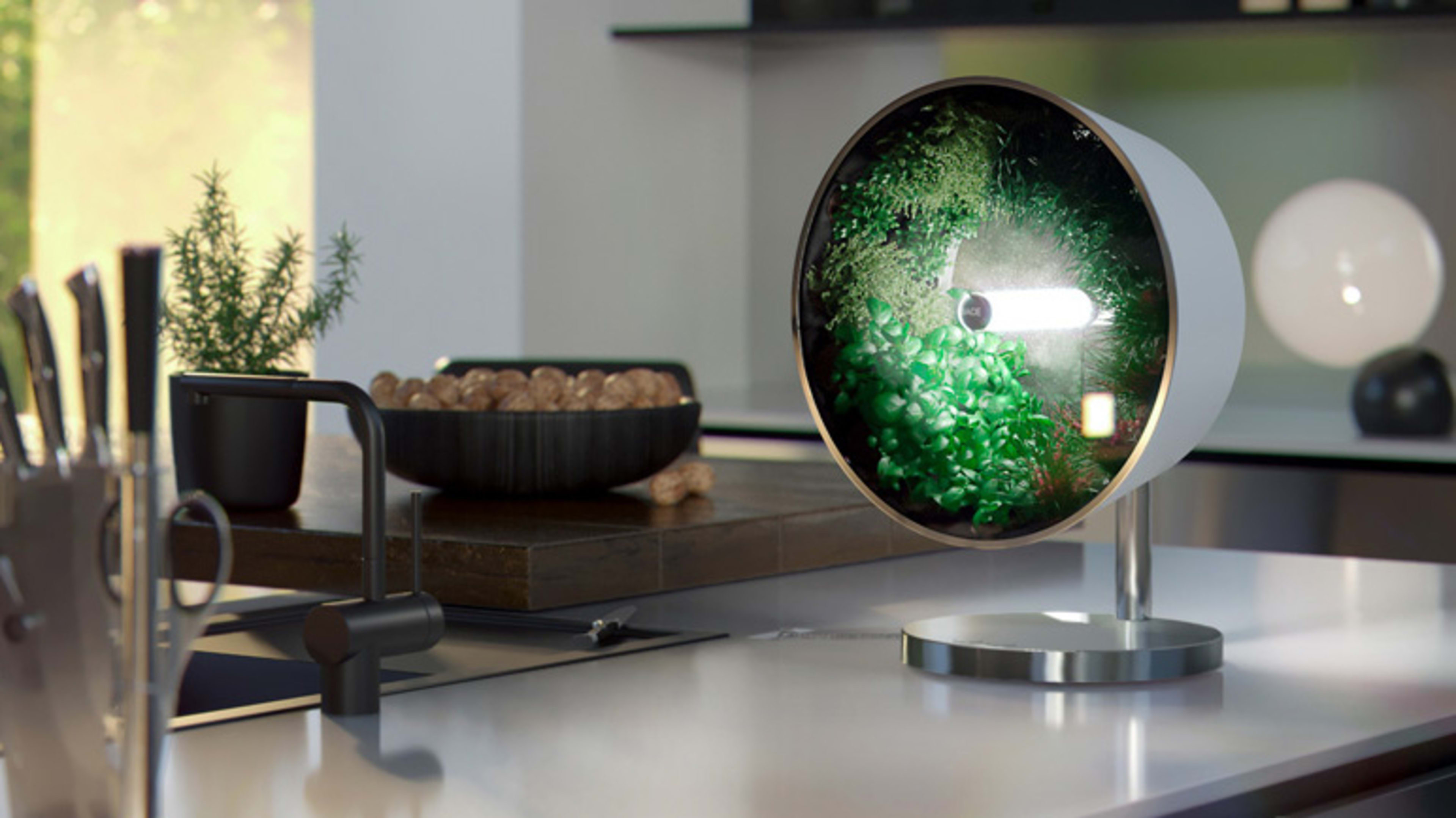 This brilliant hydroponic system puts a whole garden on your countertop