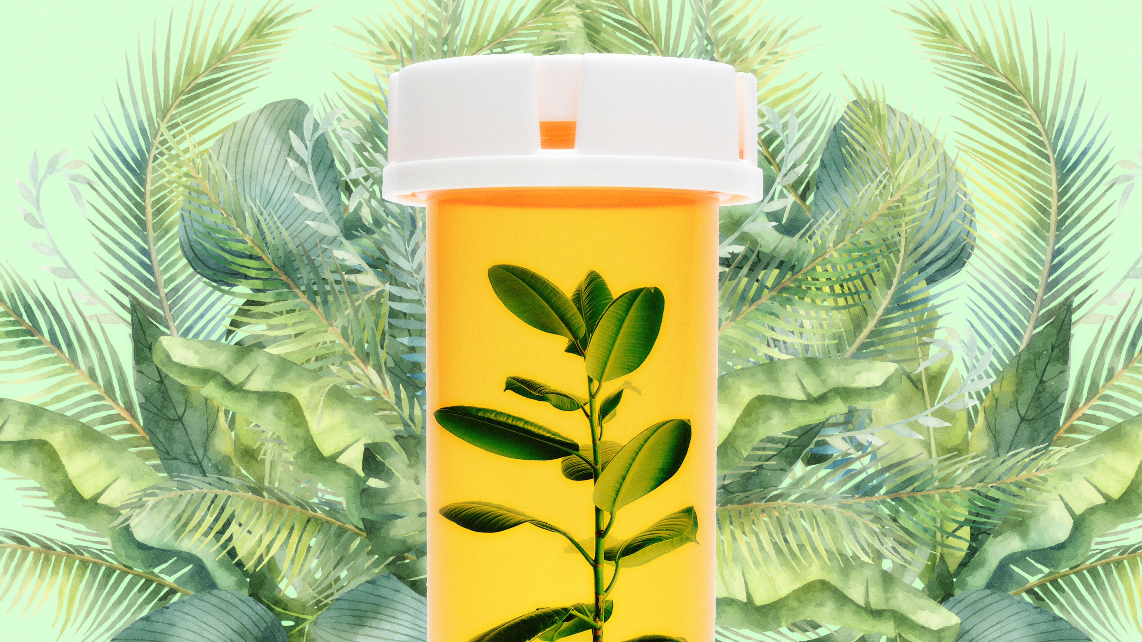 Doctors are now prescribing houseplants to help treat anxiety and depression