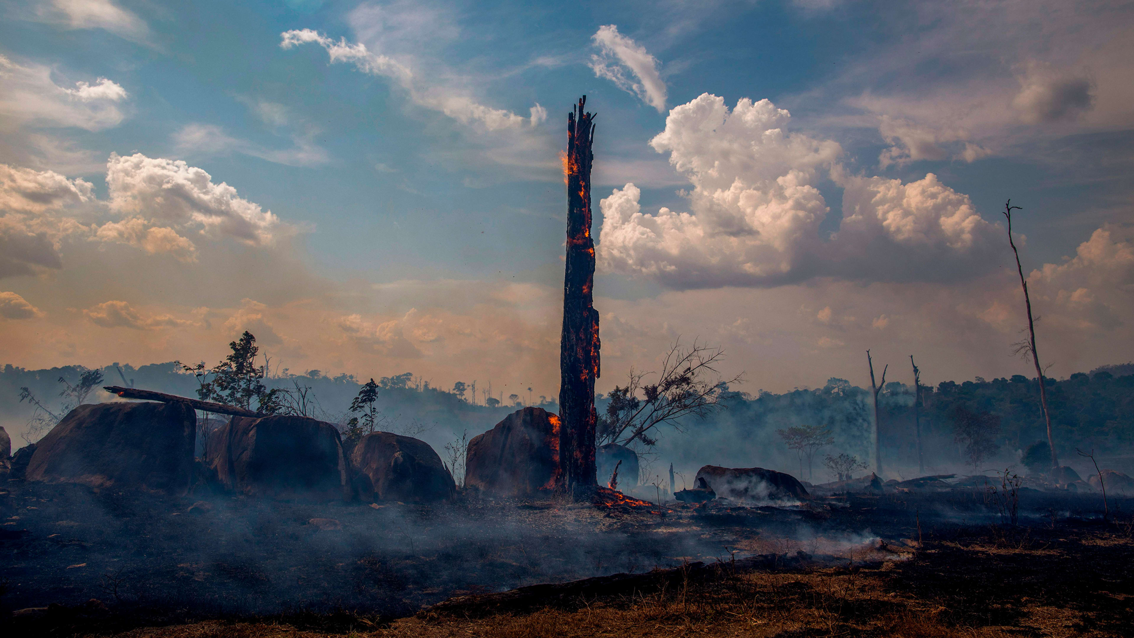 4 levers to build a better global policy to stop the Amazon fires