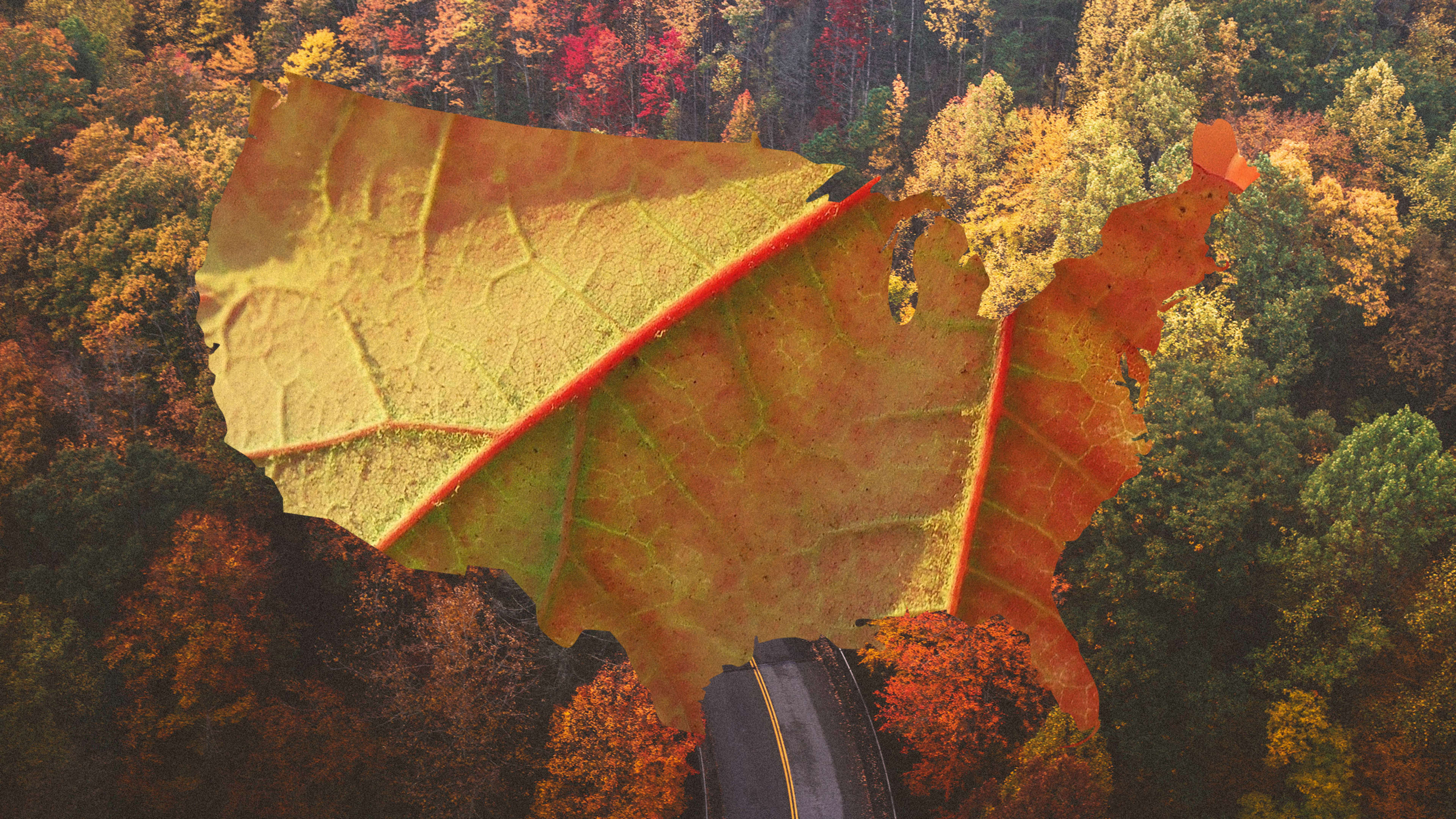 The most beautiful map of fall foliage we’ve ever seen