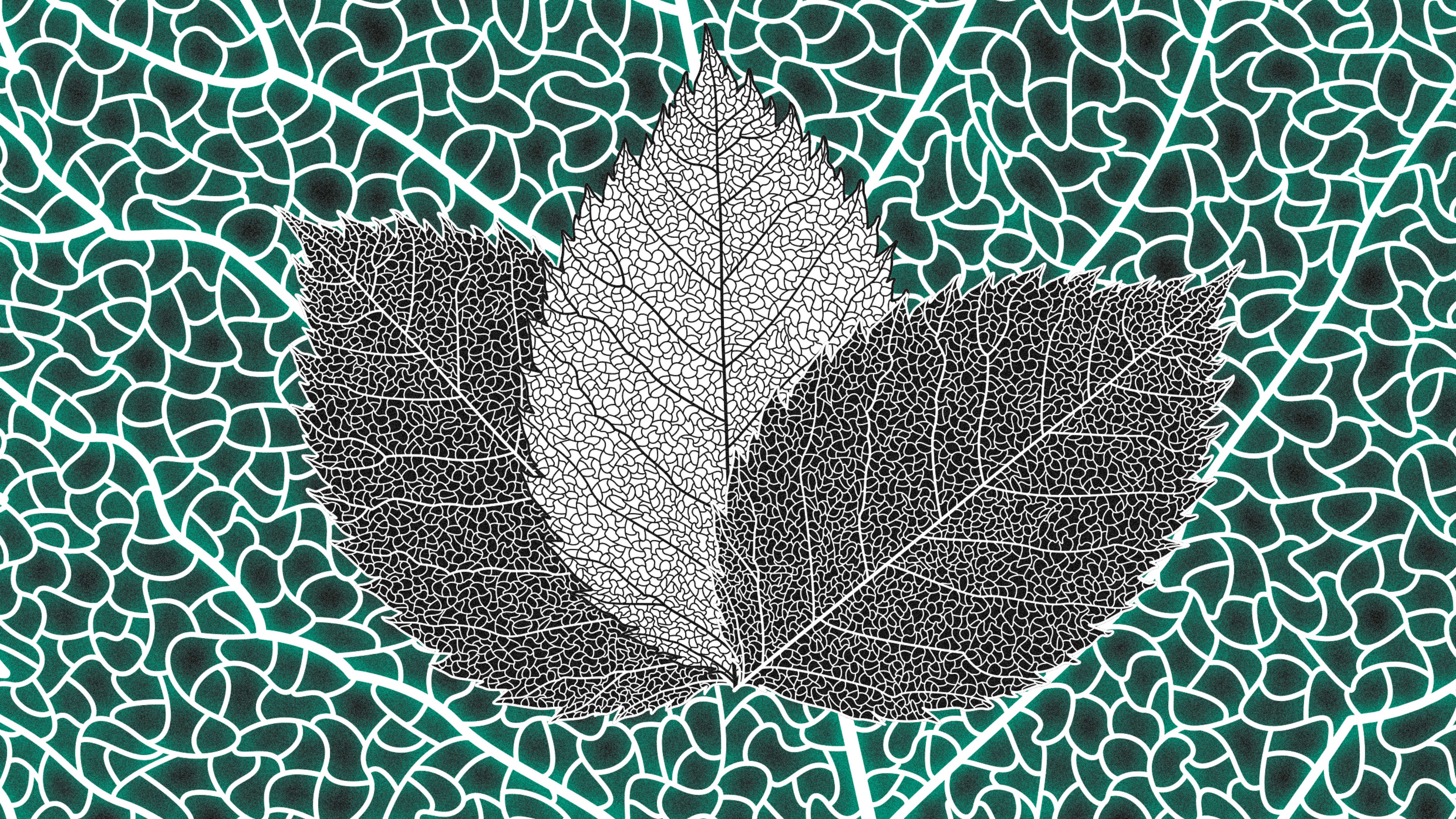 This artificial leaf turns CO2 into a low-cost fuel