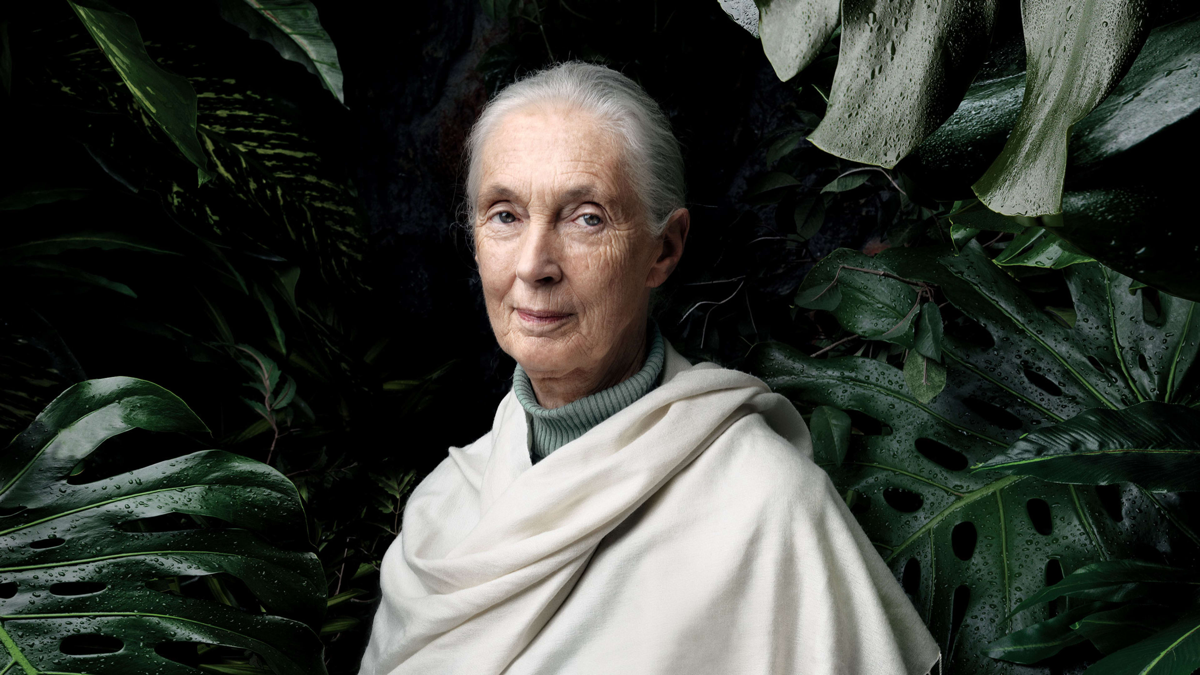 Jane Goodall would love to pet your dog, if that’s okay