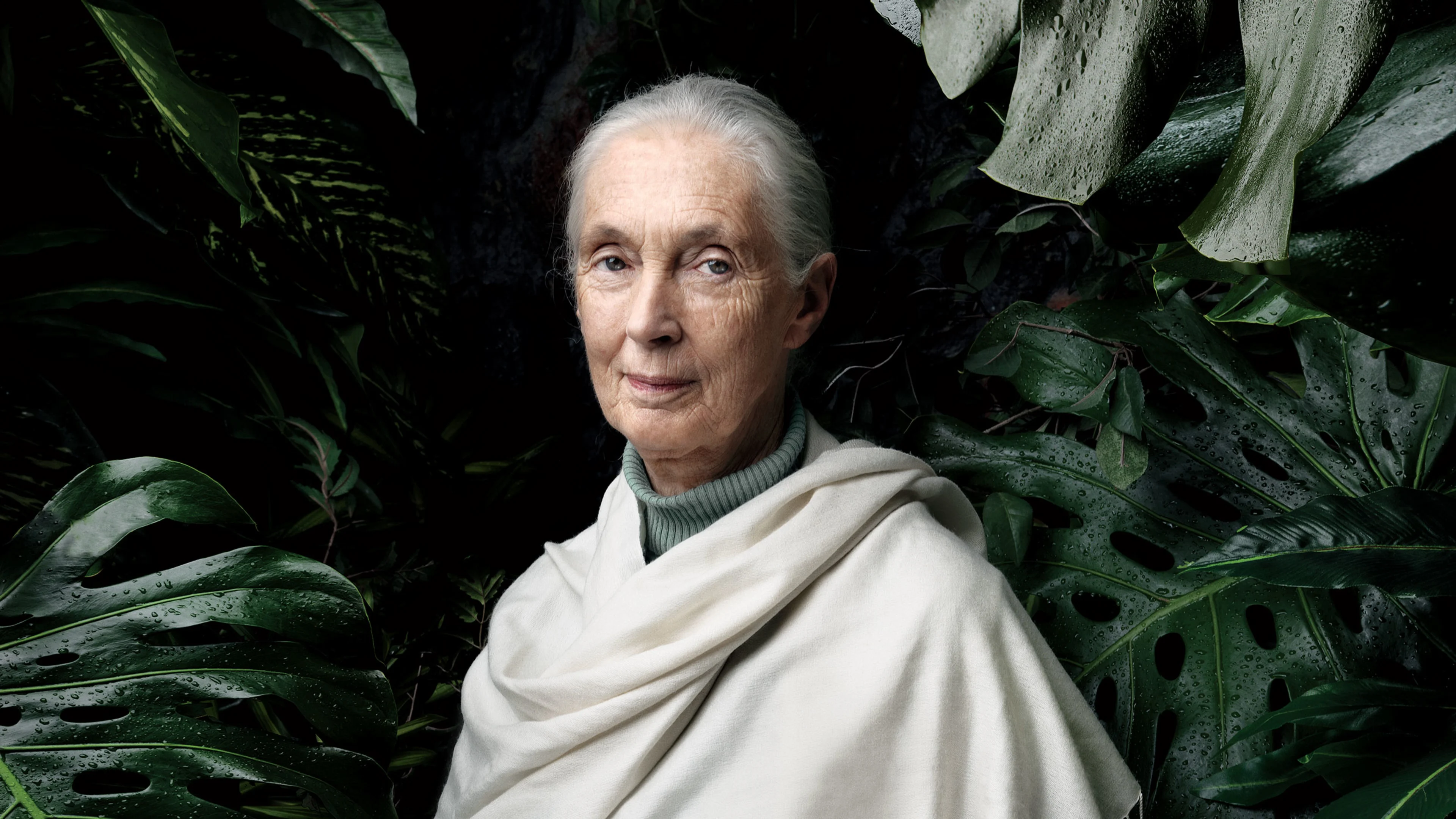 Jane Goodall would love to pet your dog, if that's okay - Fast Company