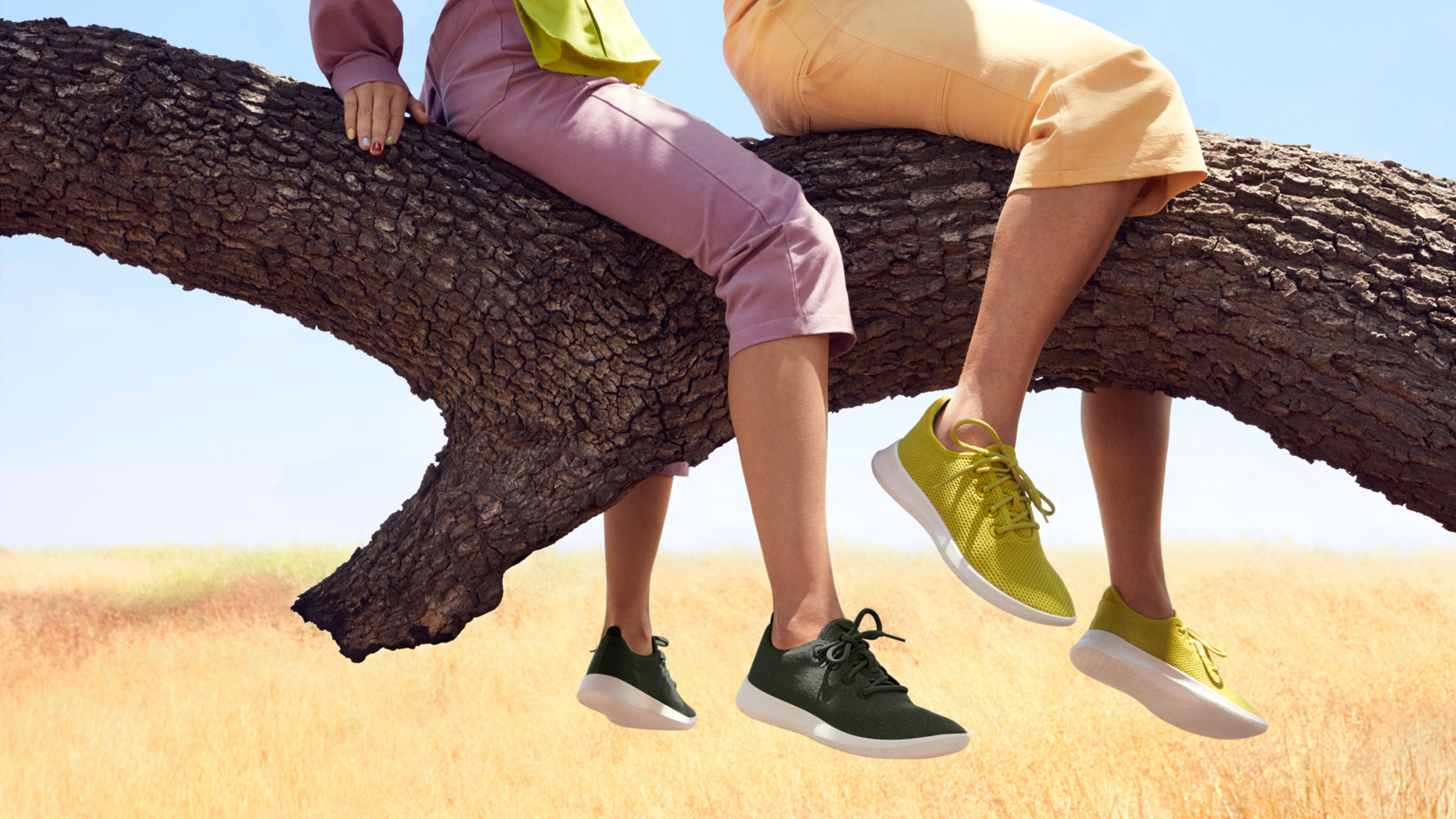 Exclusive: Allbirds is charting a climate-positive roadmap that other brands can follow