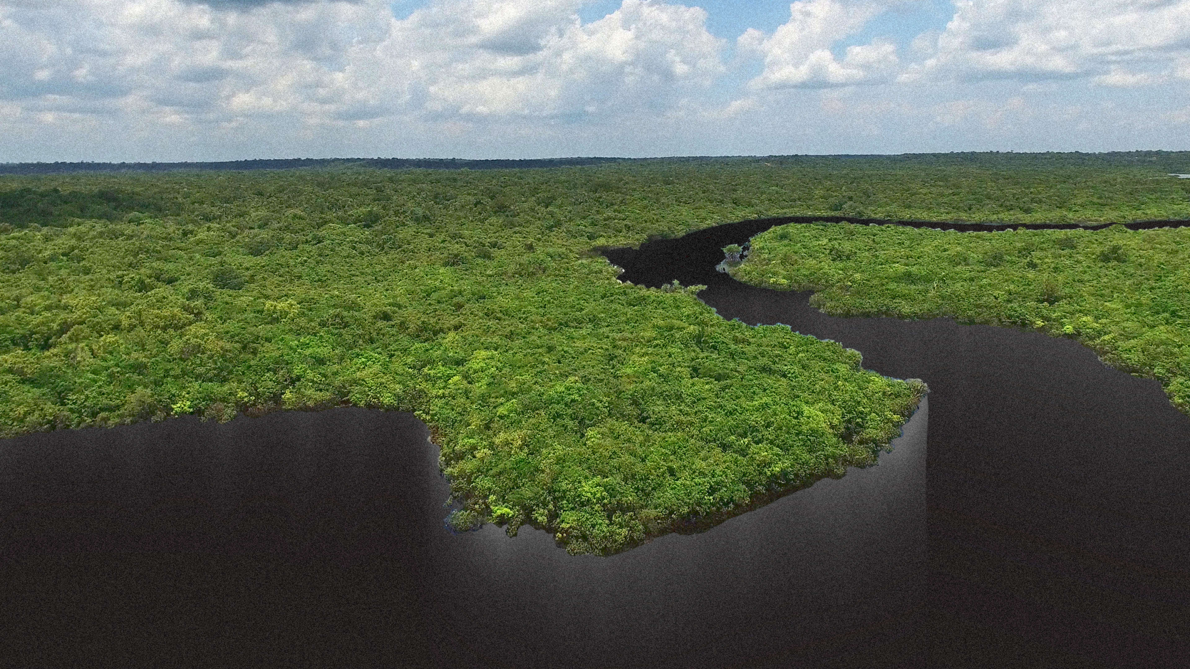 The Amazon rainforest could disappear within our lifetime