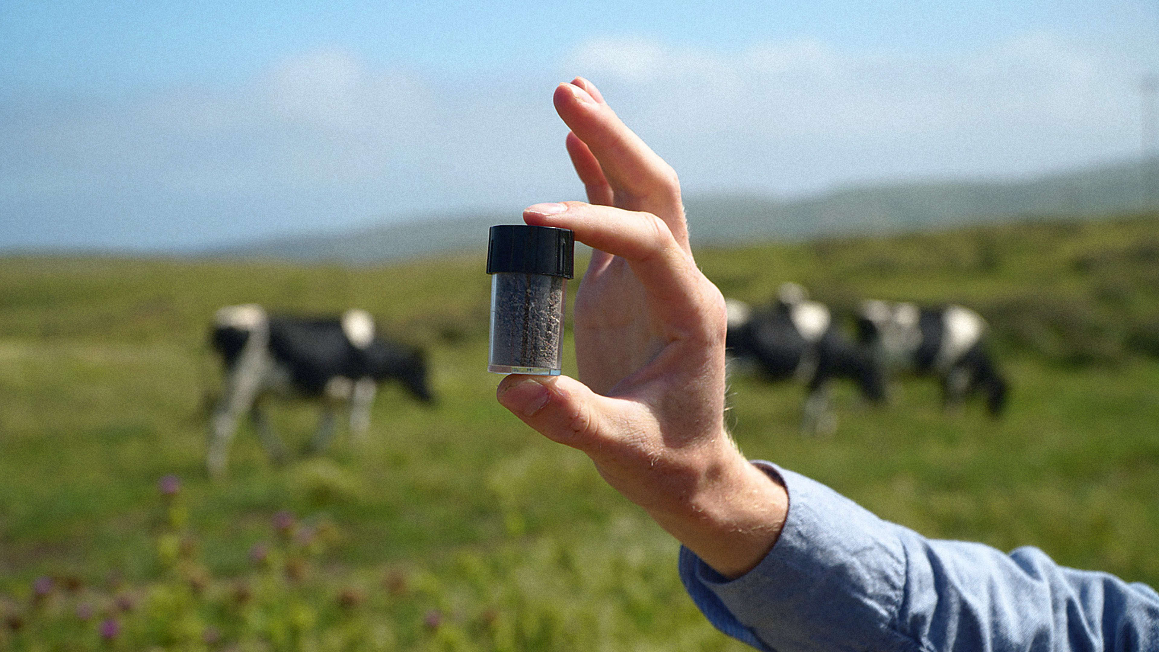 This factory is growing a new kind of food for cows: A seaweed that reduces their burps