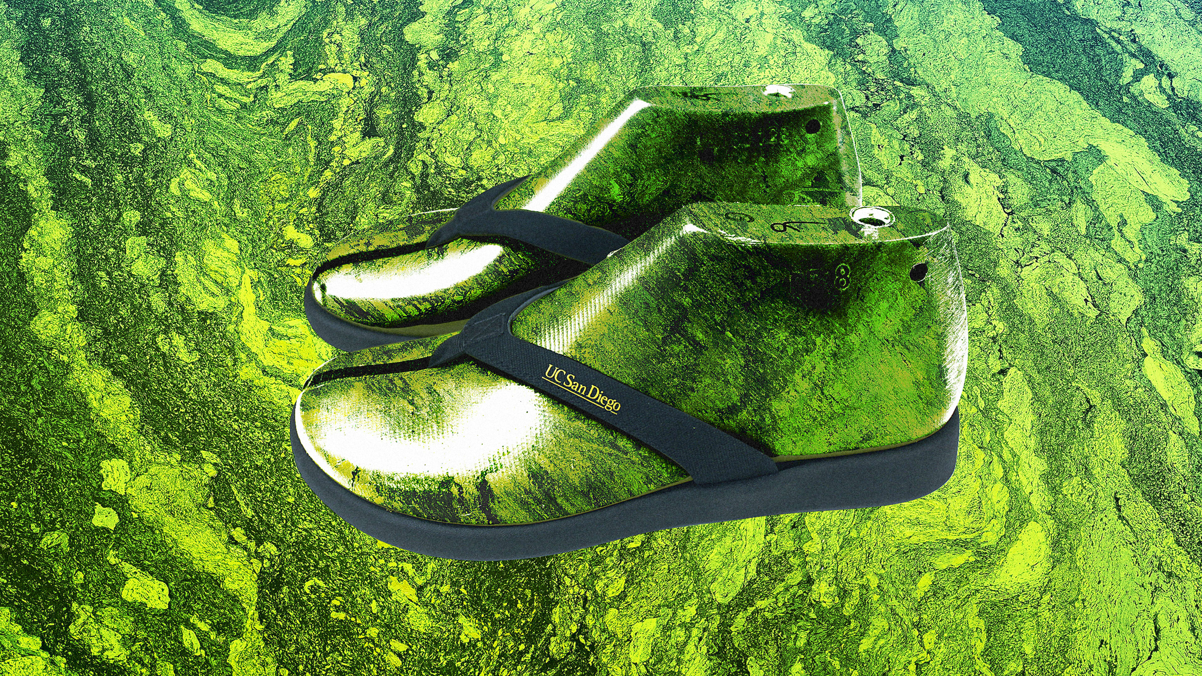 How one lab is turning algae into flip-flops—and taking on Big Plastic in the process