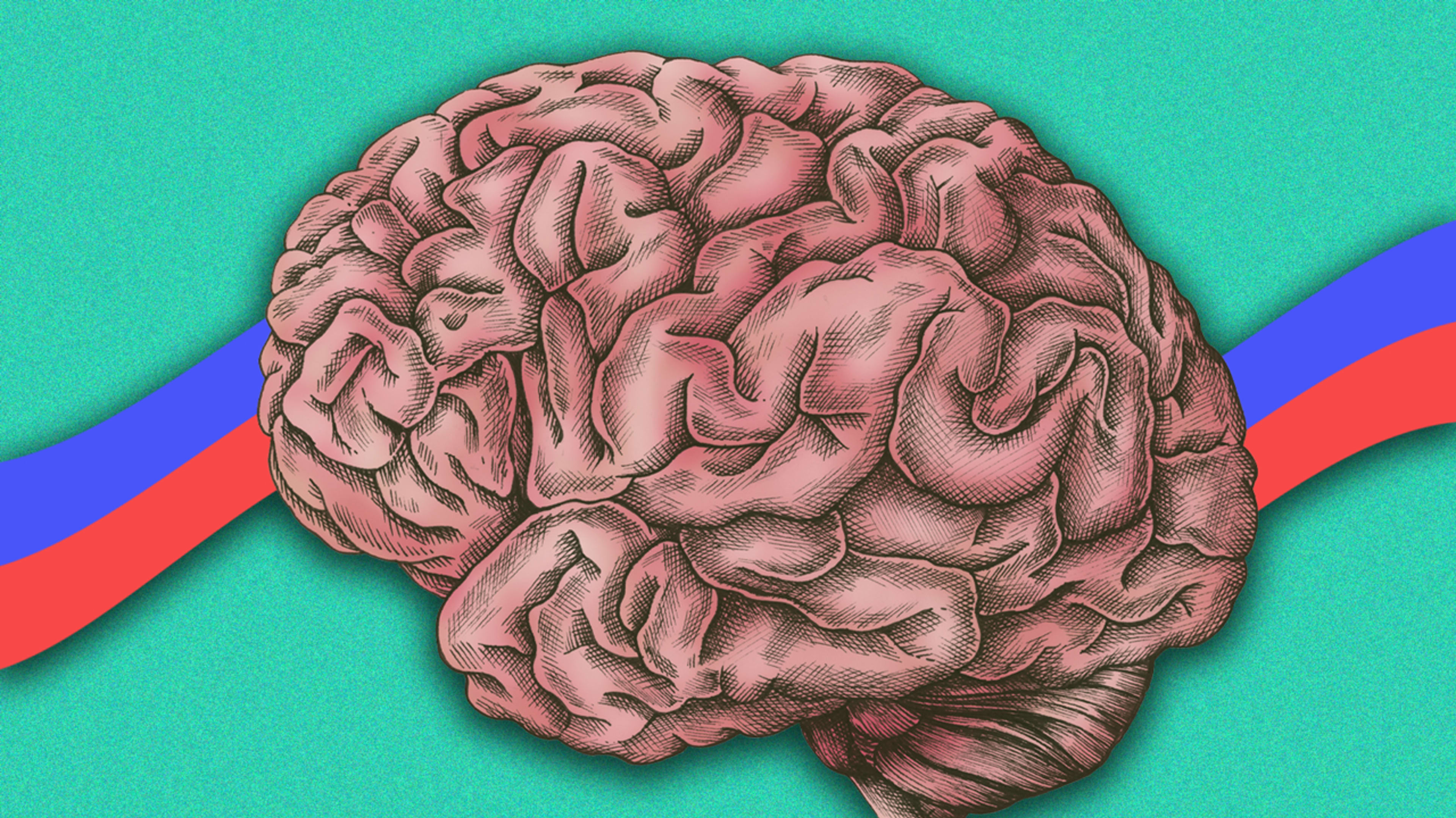Politicians, take note: Unaffiliated voters have distinct brain patterns, MRI scans reveal