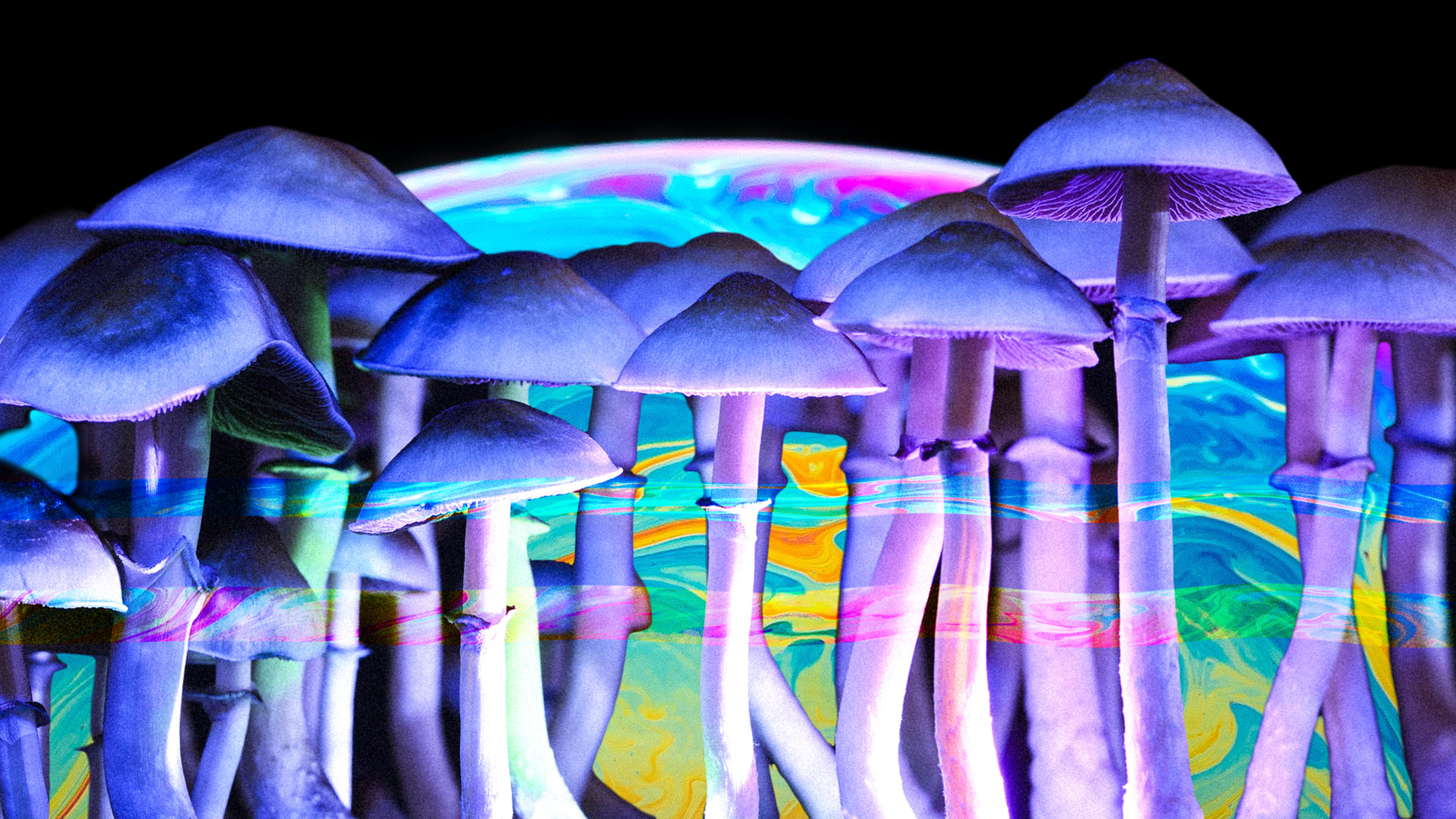 Psychedelic mushrooms win a major electoral victory, paving the way for medical use