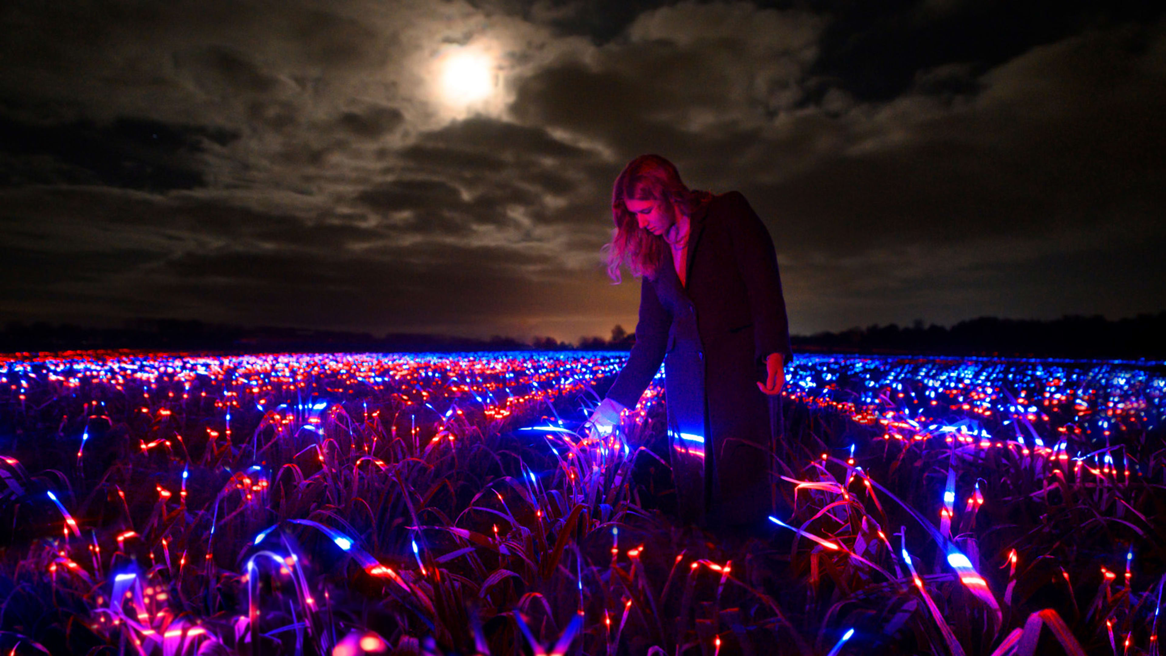 This stunning light display could make crops more sustainable