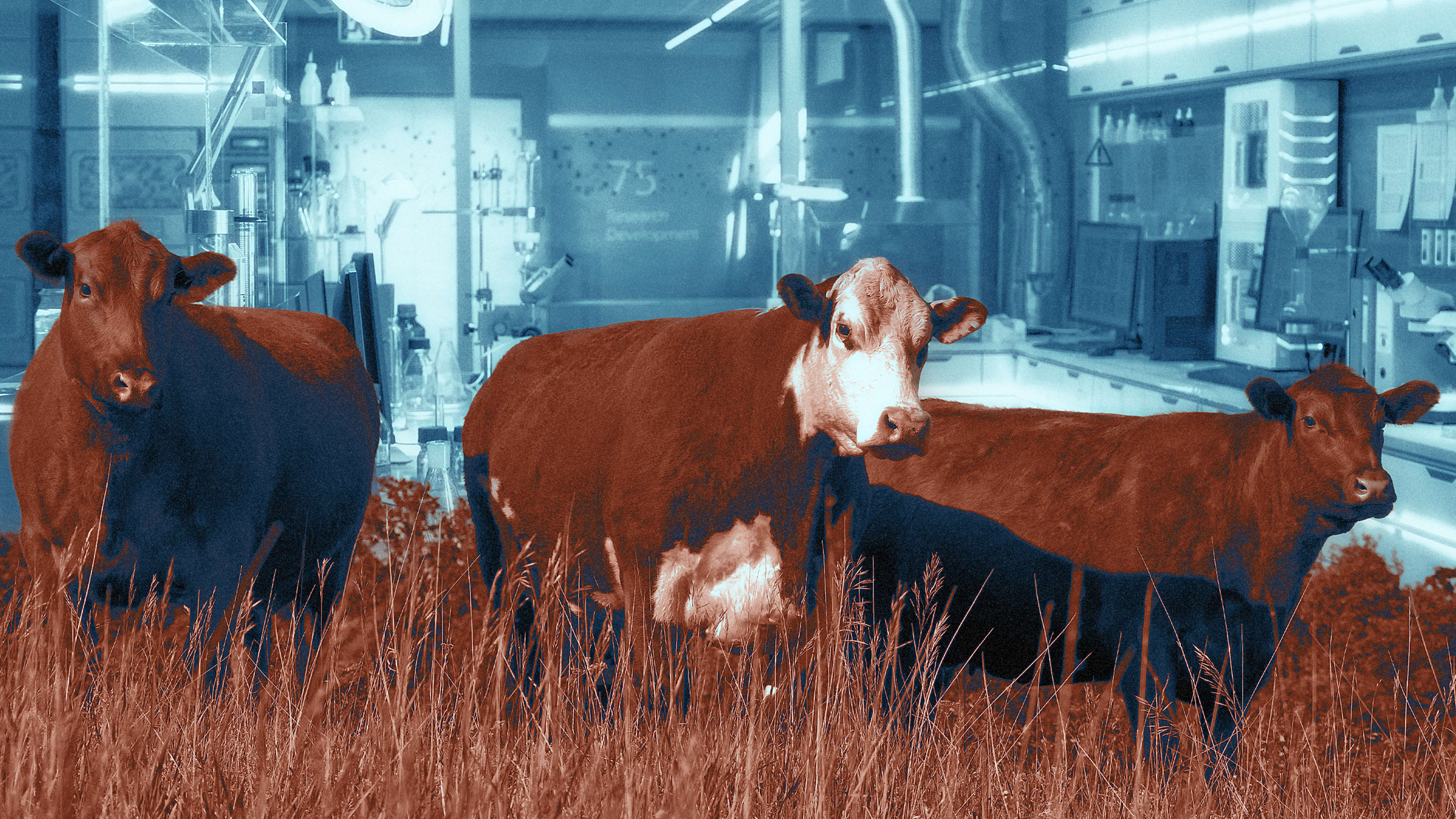 Once we have lab-grown meat, will we still need animal advocacy?