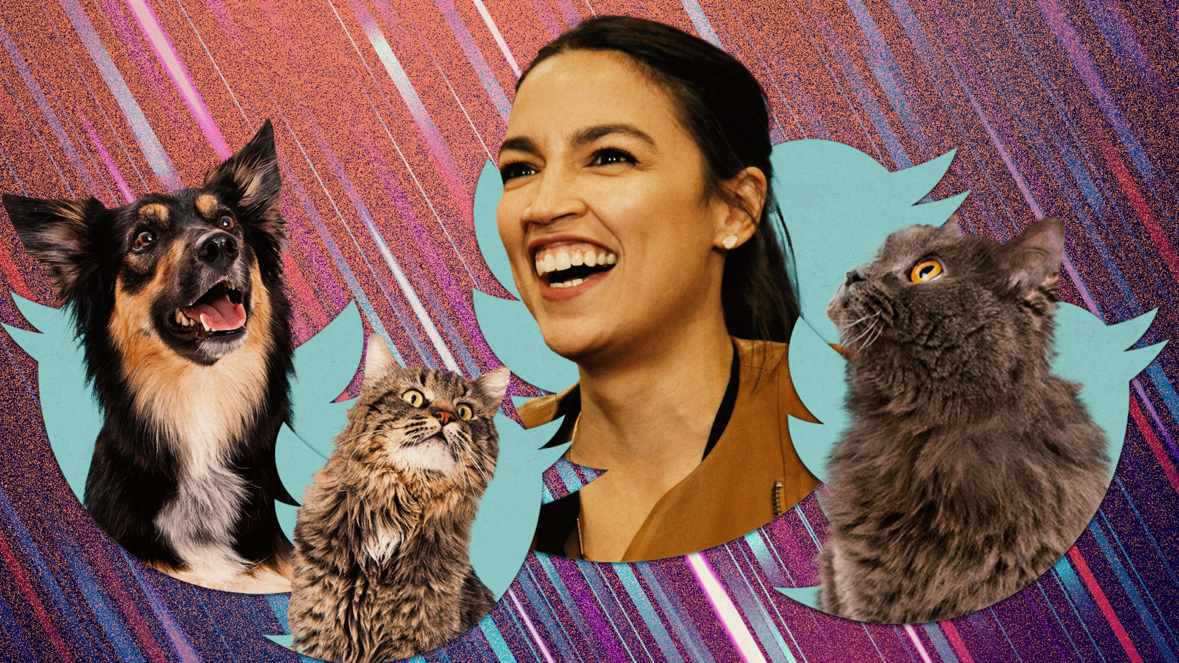 Twitter trolls tried to come for AOC. Their hashtag got taken over by adorable pet pics