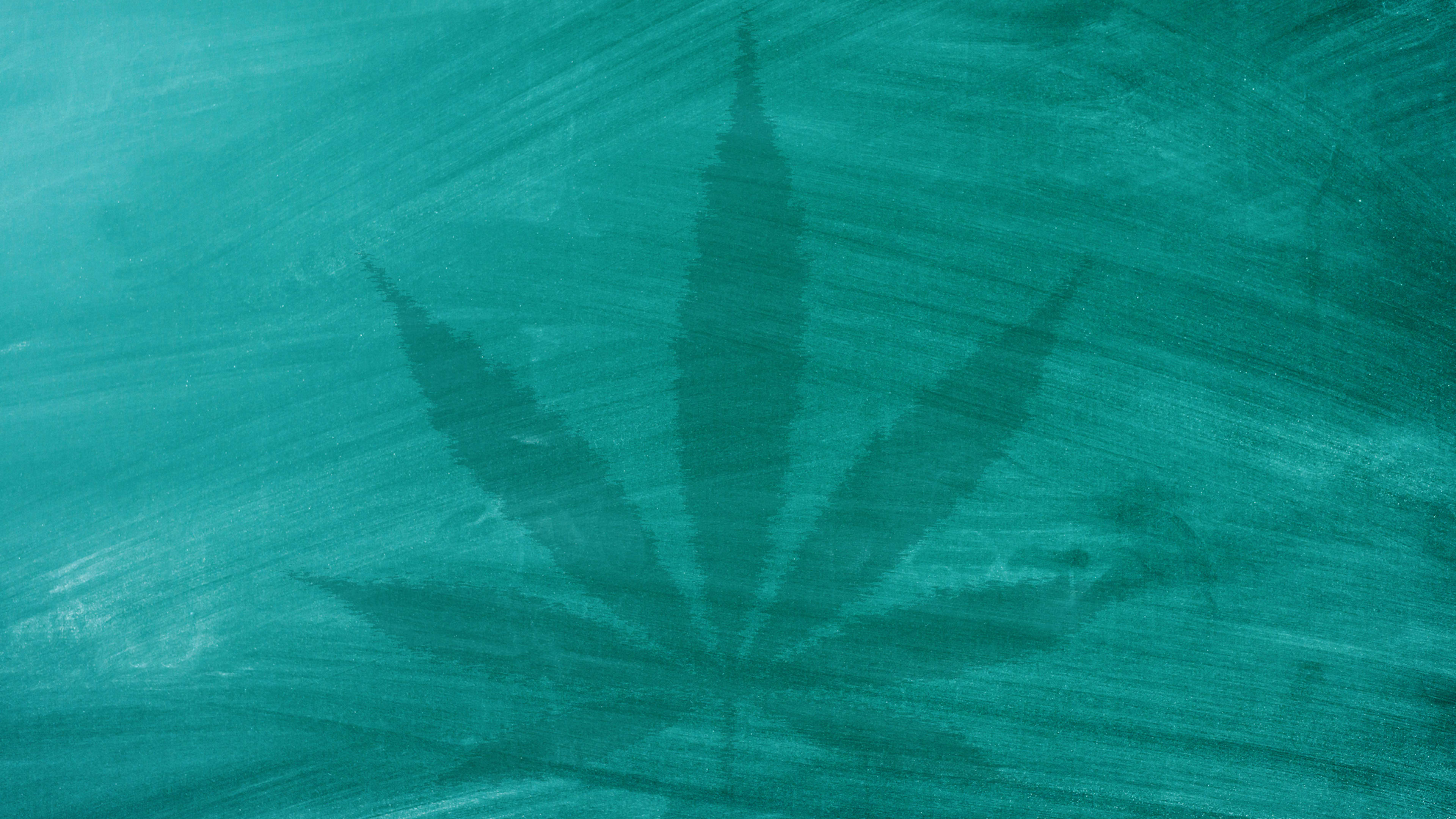 This tool helps anyone with an old marijuana conviction clear it from their record