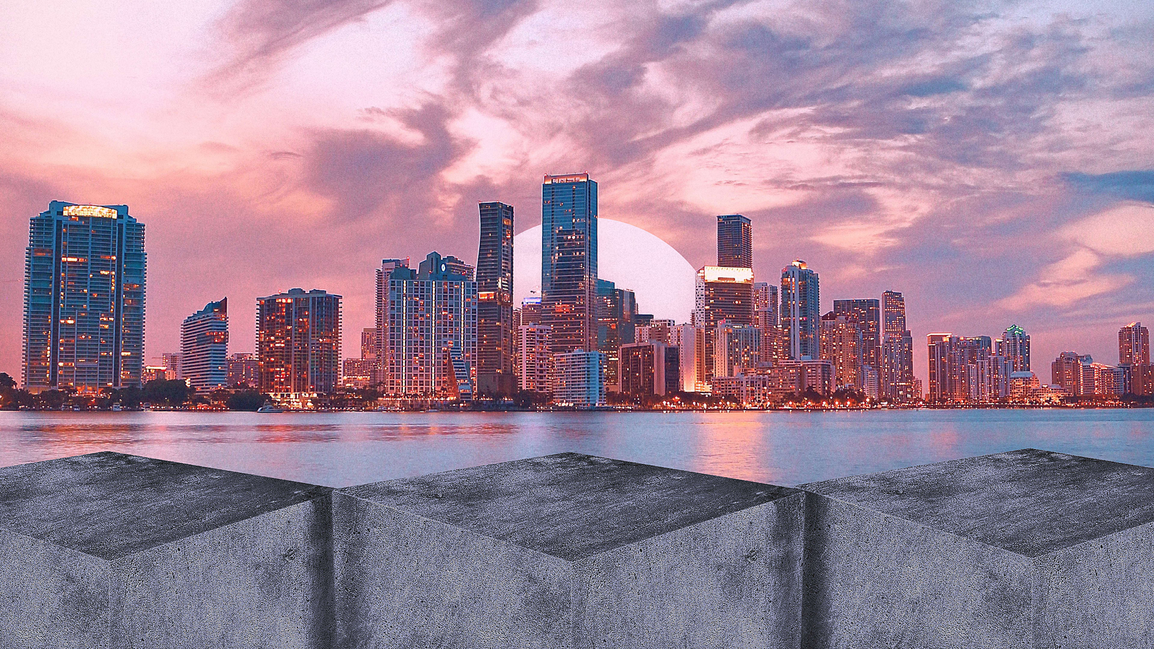 A 20-foot sea wall won’t save Miami, but these nature-inspired innovations just might