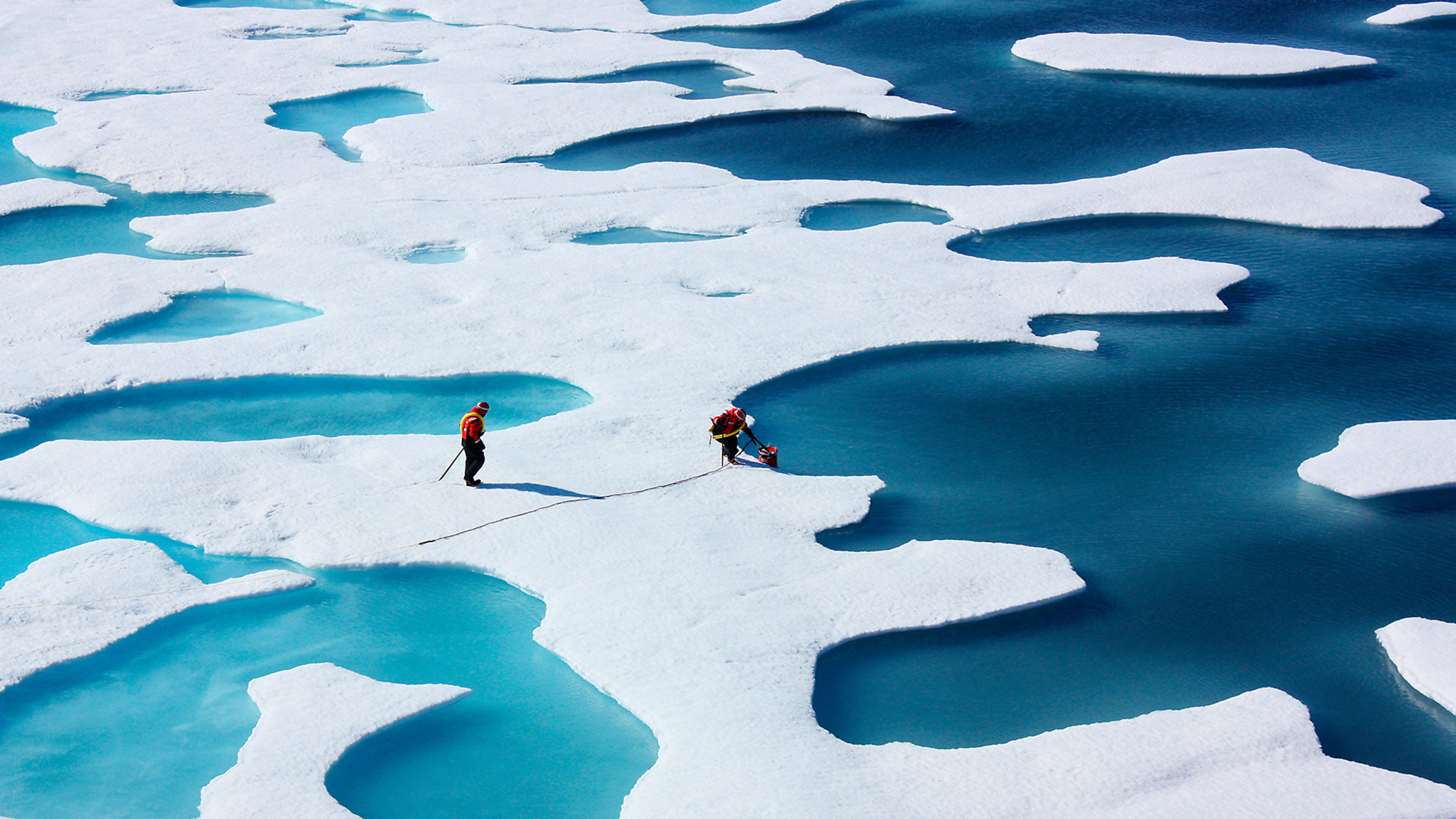 NASA scientists explain what’s driving the decline in Arctic sea ice