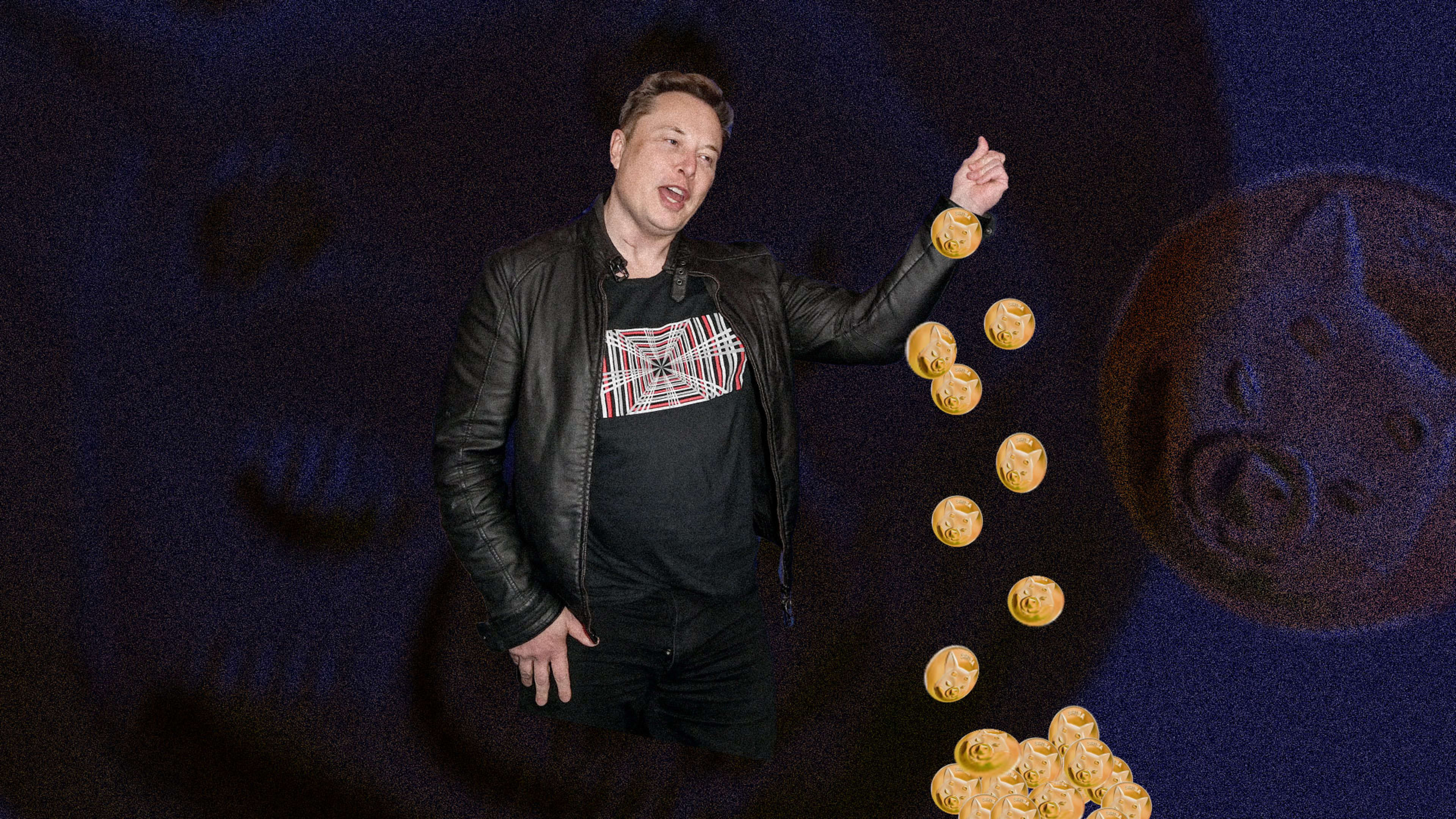 One word from Elon Musk sank the Shiba Inu (SHIB) cryptocurrency yesterday