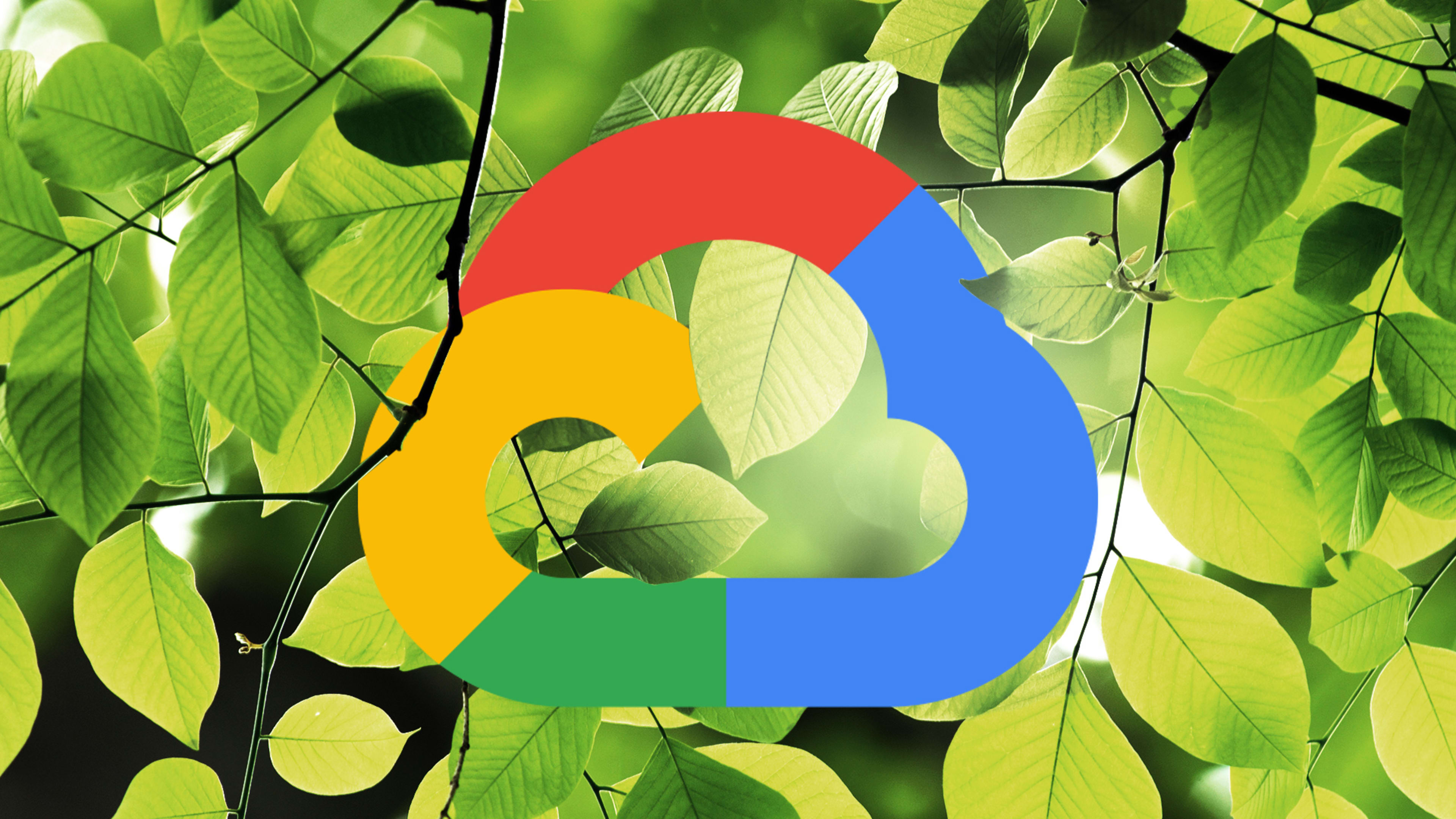 Google has the cleanest cloud. Now it’s helping other companies go green