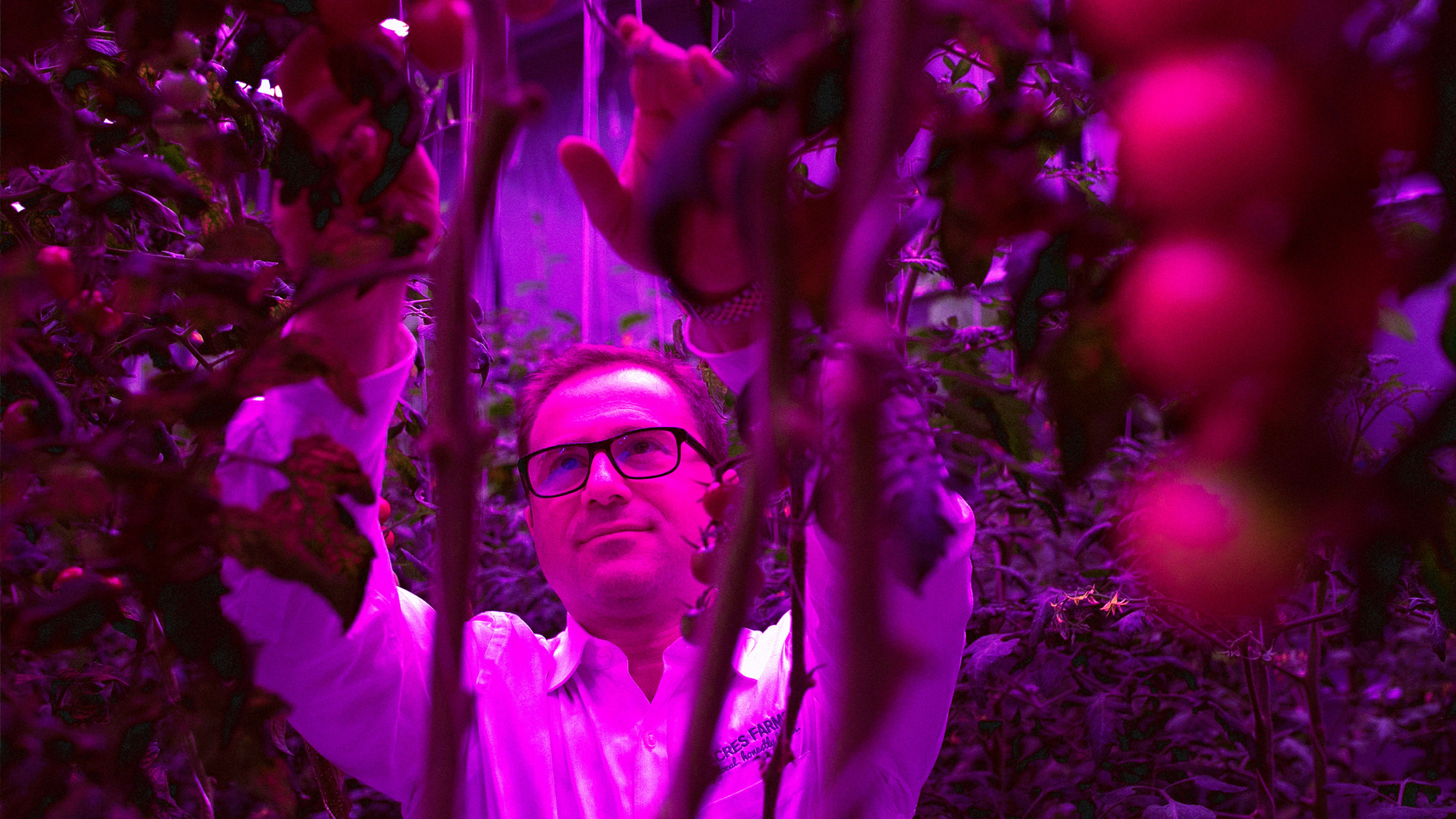 40% of U.S. produce is wasted. This vertical farming startup is fighting to change that
