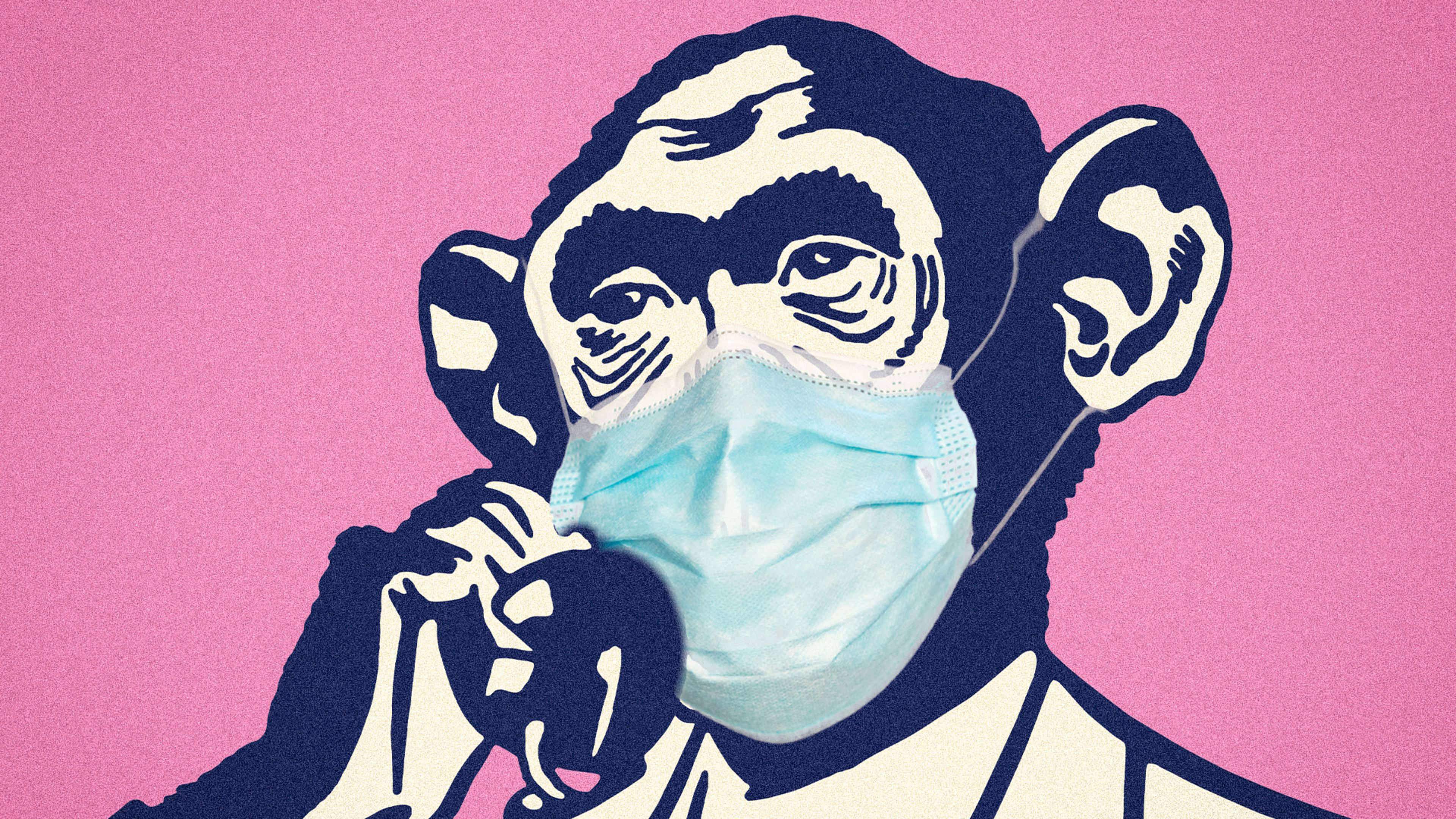 What is the monkeypox virus and how concerned should you be?