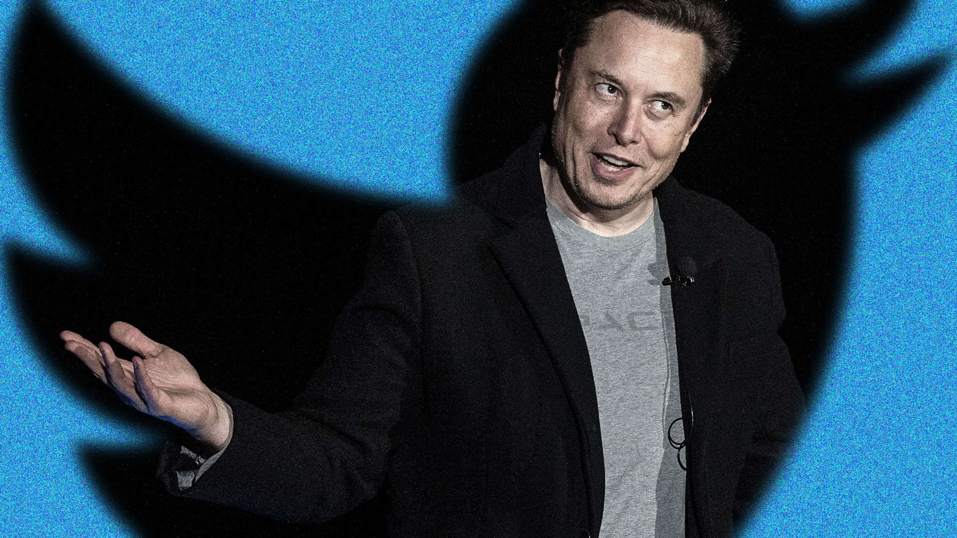 There’s reason to be skeptical of Elon Musk’s Twitter polls