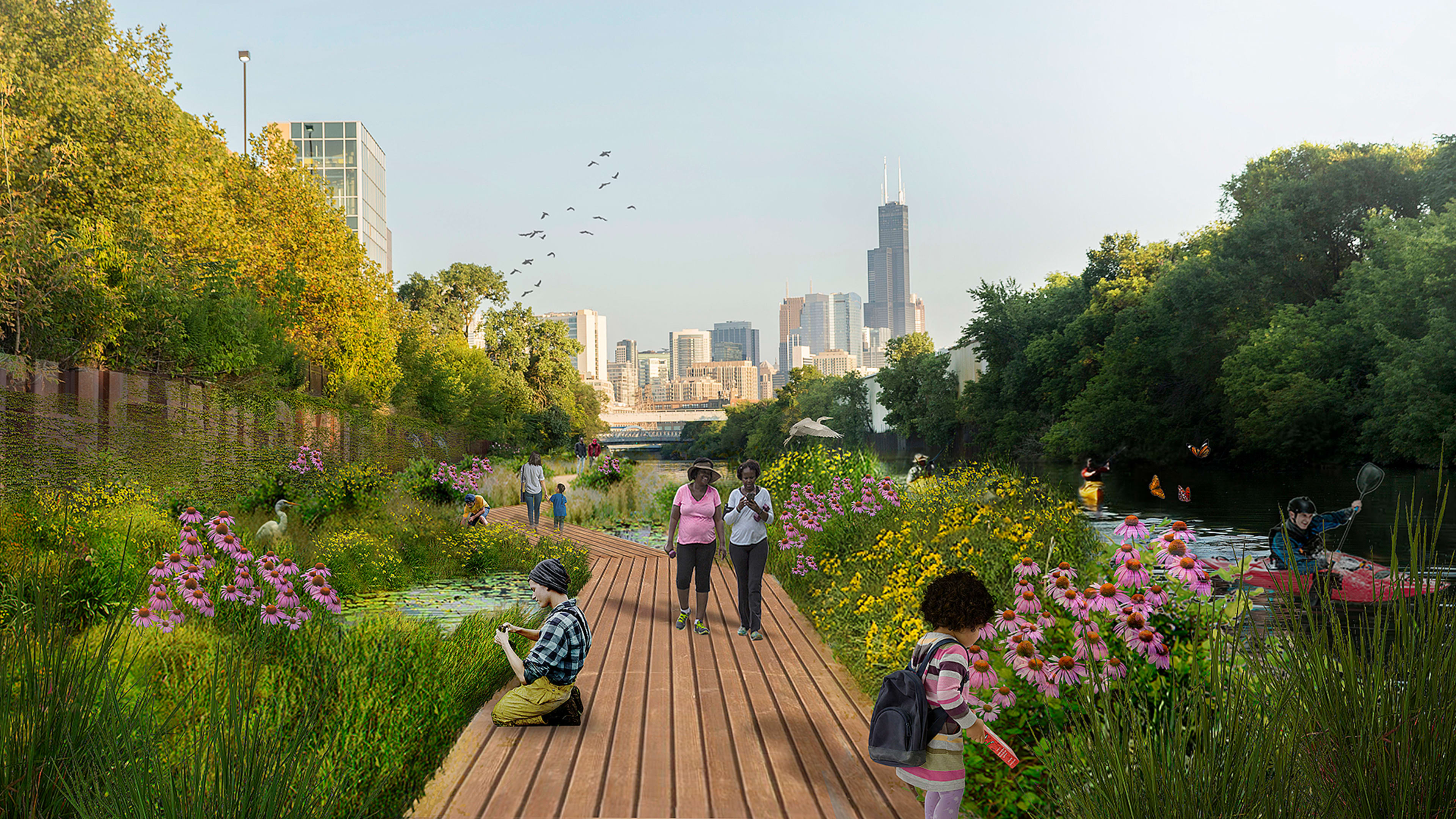 From industrial waste to floating wetlands, how Chicago’s Wild Mile is reinventing the urban river