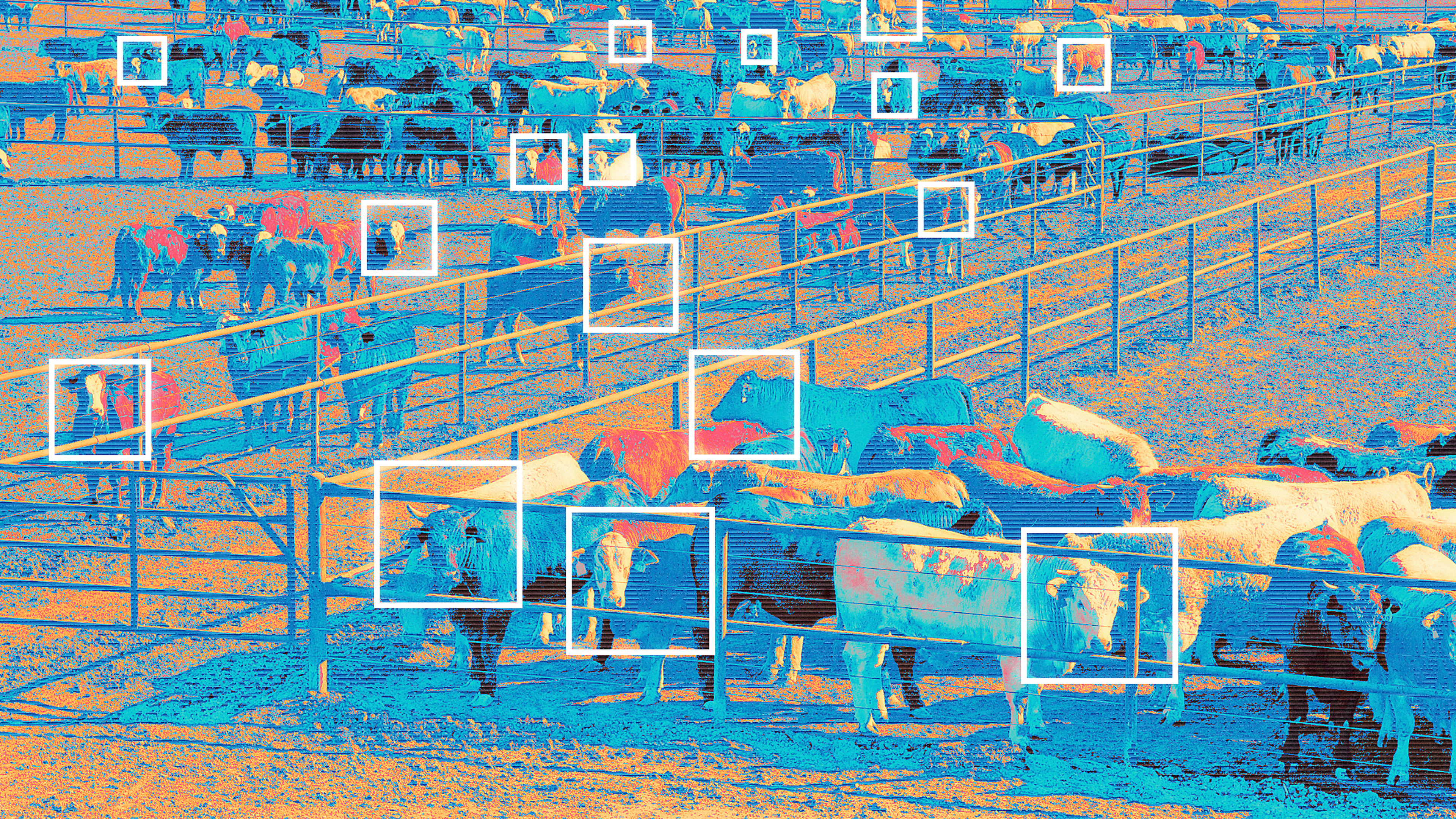 AI could fuel factory farming—or end it
